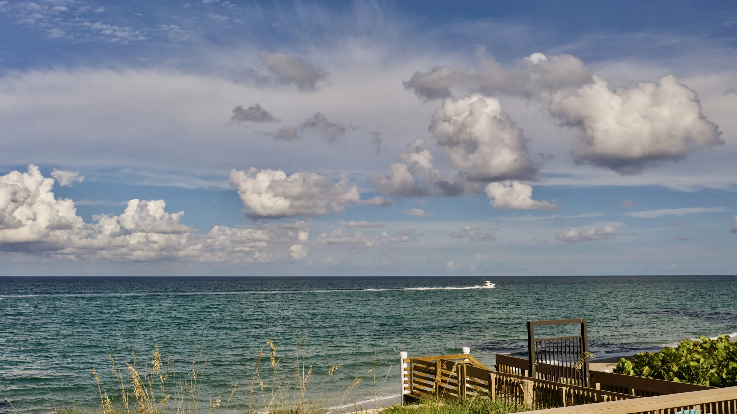 A scenic view of the ocean with a boat speeding across the water, under a partly cloudy sky, with a wooden deck and lush greenery in the foreground.