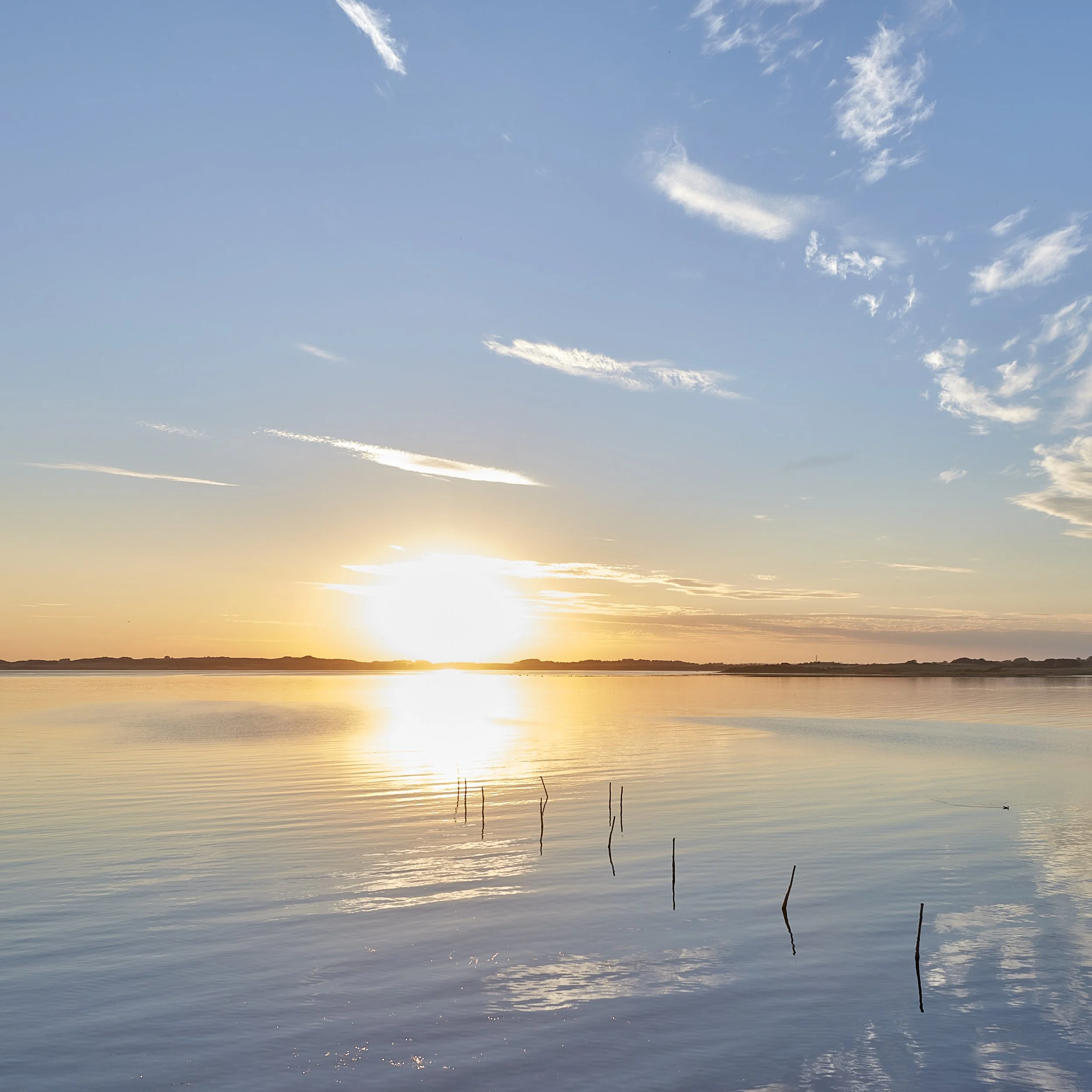 Sunset over a calm body of water with a few sticks protruding from the water and some clouds in the sky.