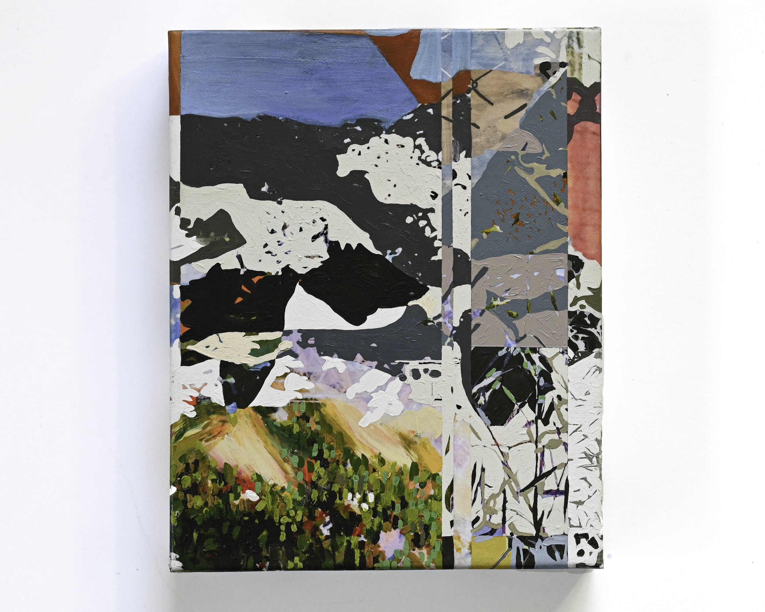 A Past That Edits

10 x 8"
Flashe, acrylic, image transfers, collage on canvas
2025