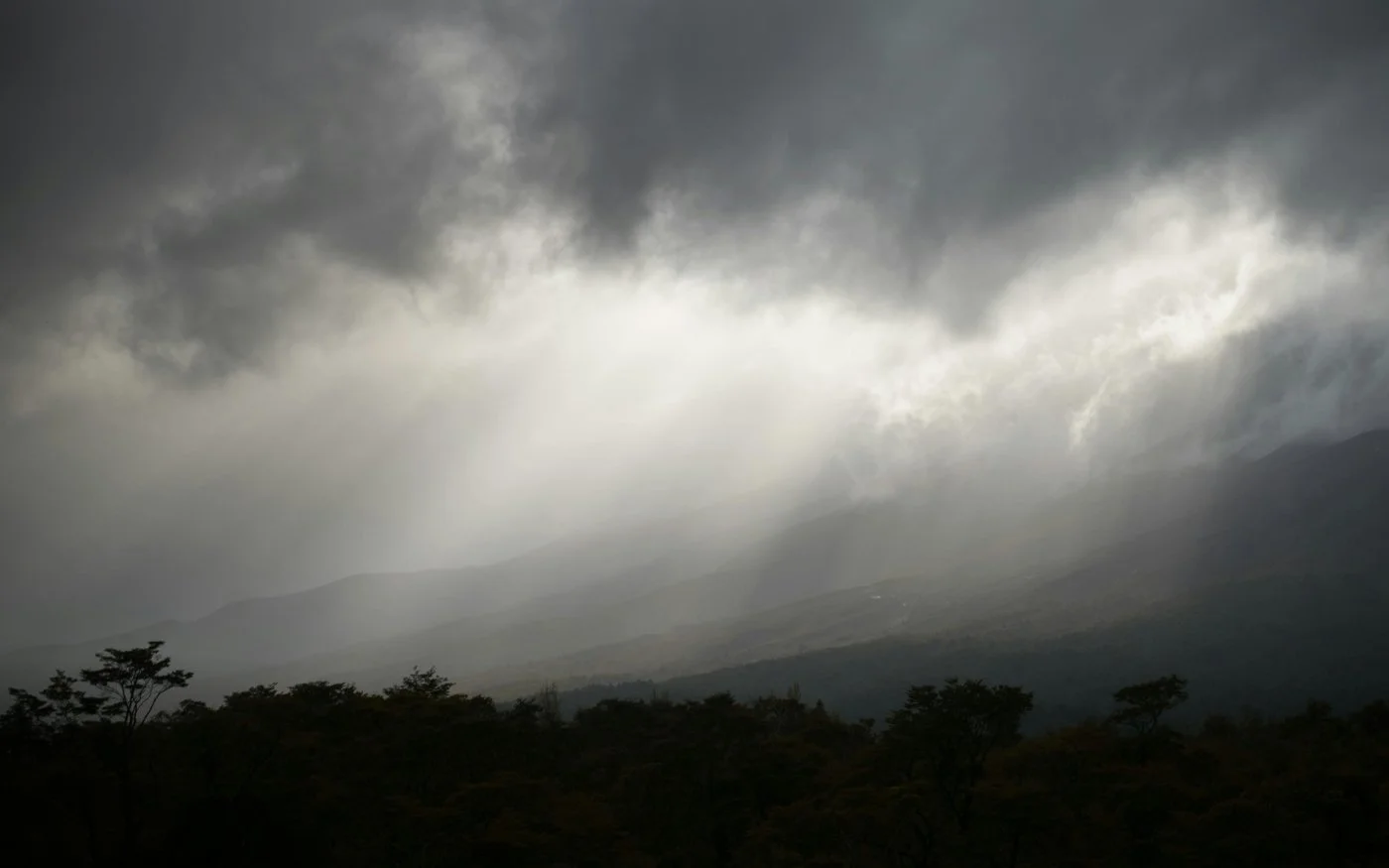 Dark clouds with sunlight breaking through an overcast sky, silhouetted tree