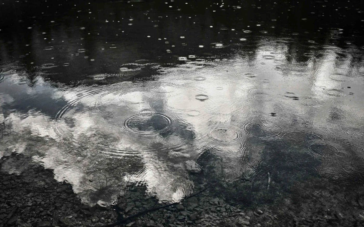 Raindrops falling into a water puddle, creating ripples