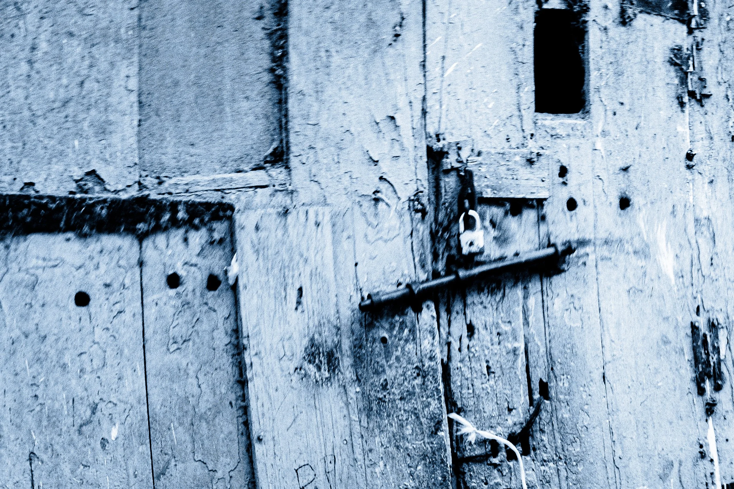 DSCF5372.jpg