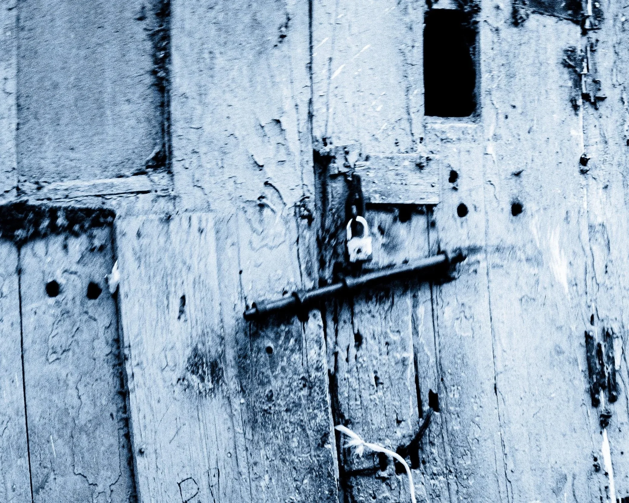 DSCF5372.jpg