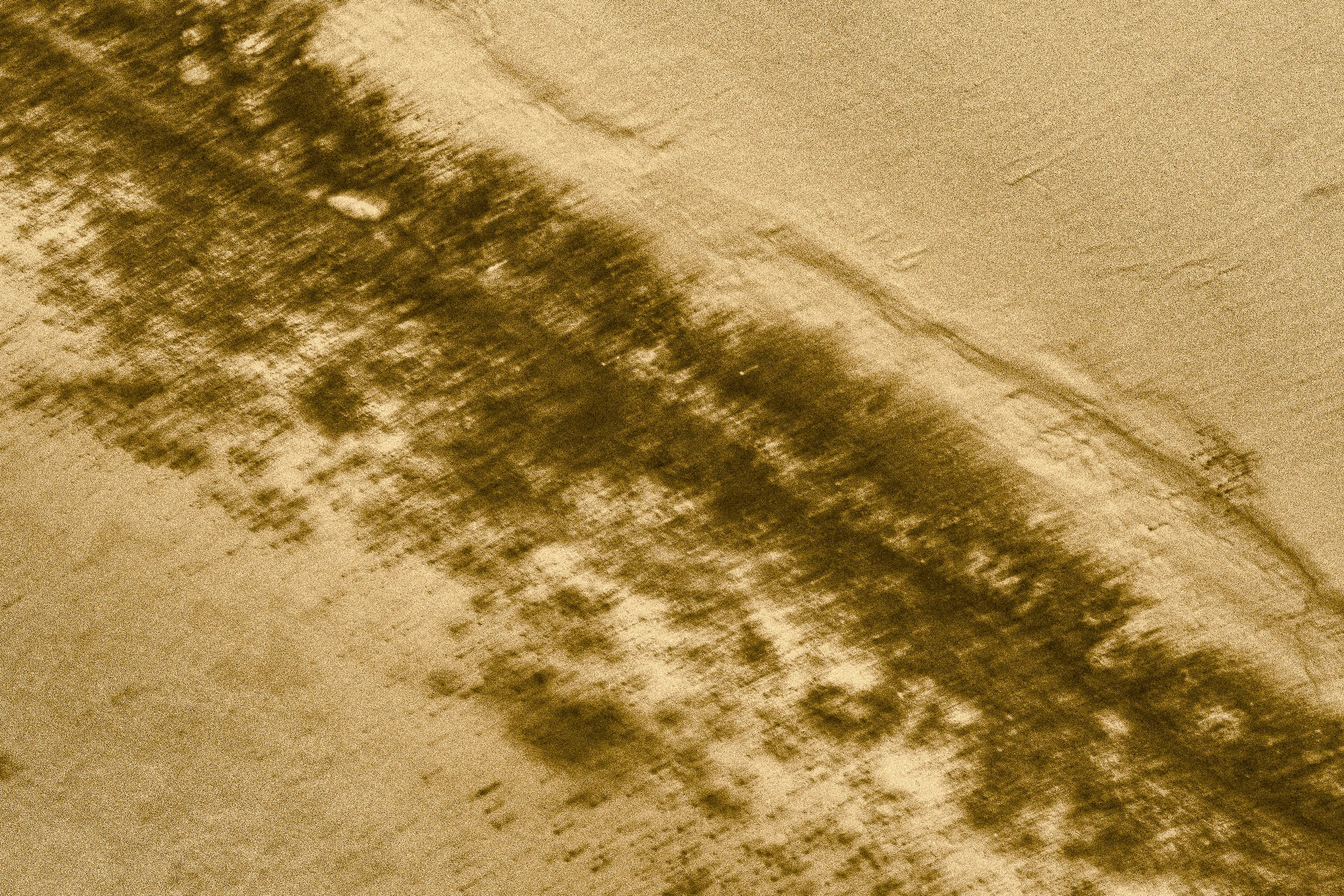 DSCF4114.jpg