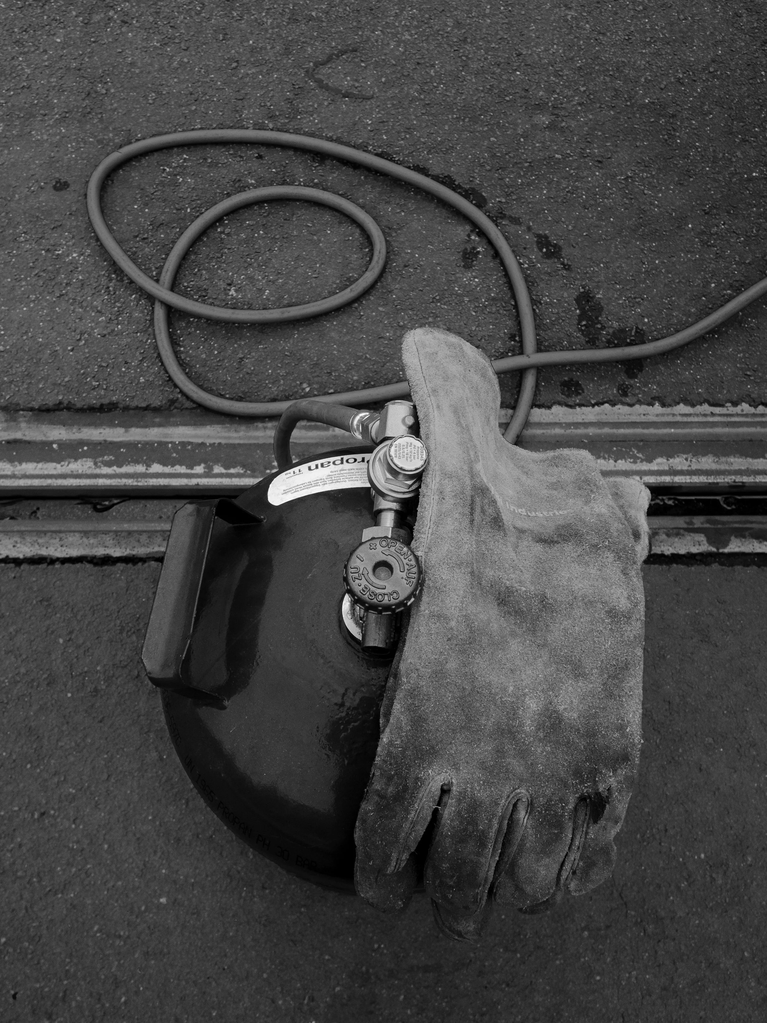 P1300891.jpg