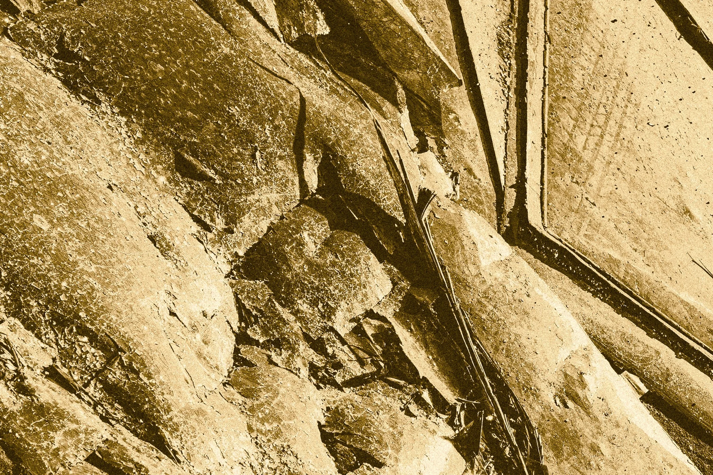 DSCF4010.jpg