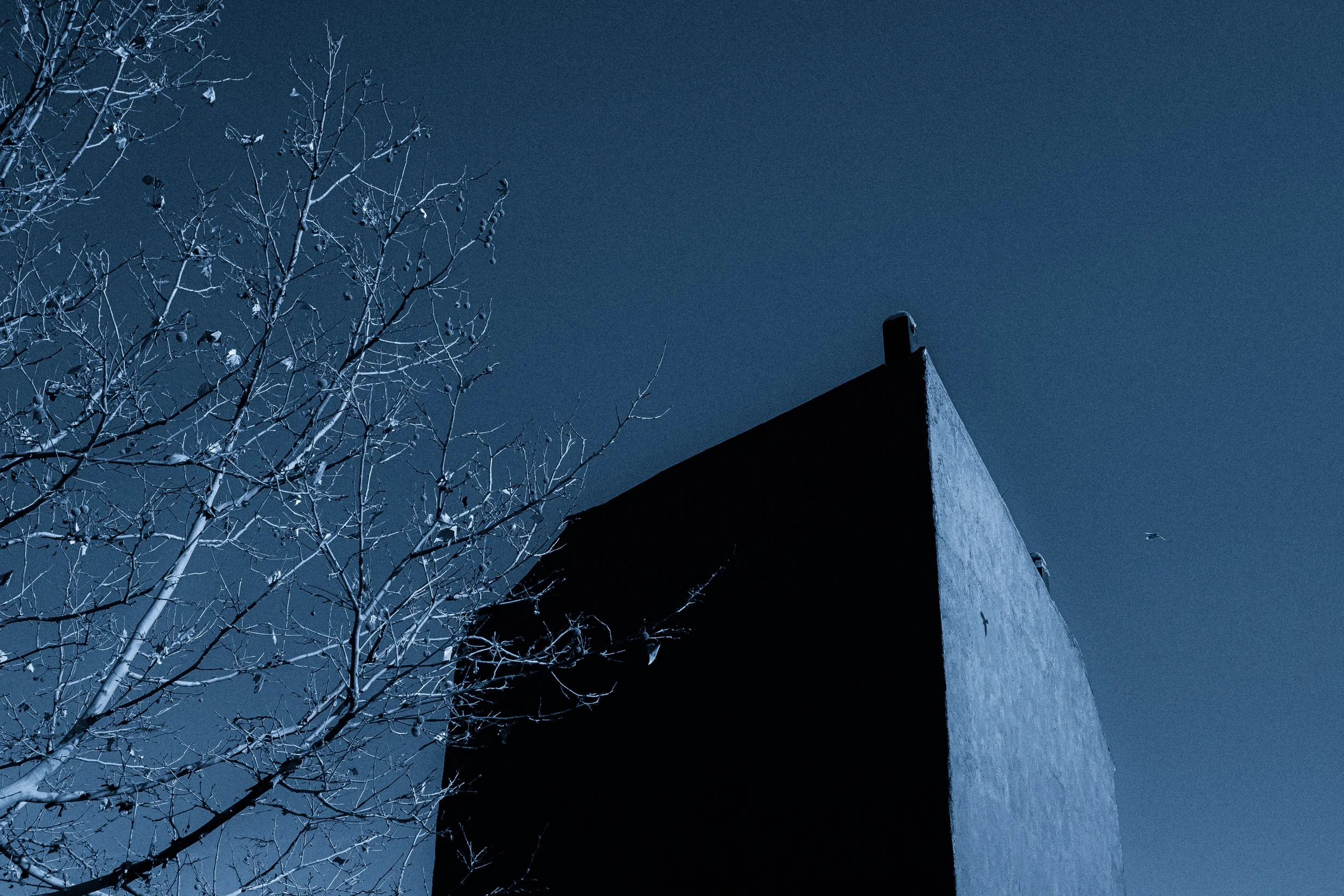 DSCF5070.jpg
