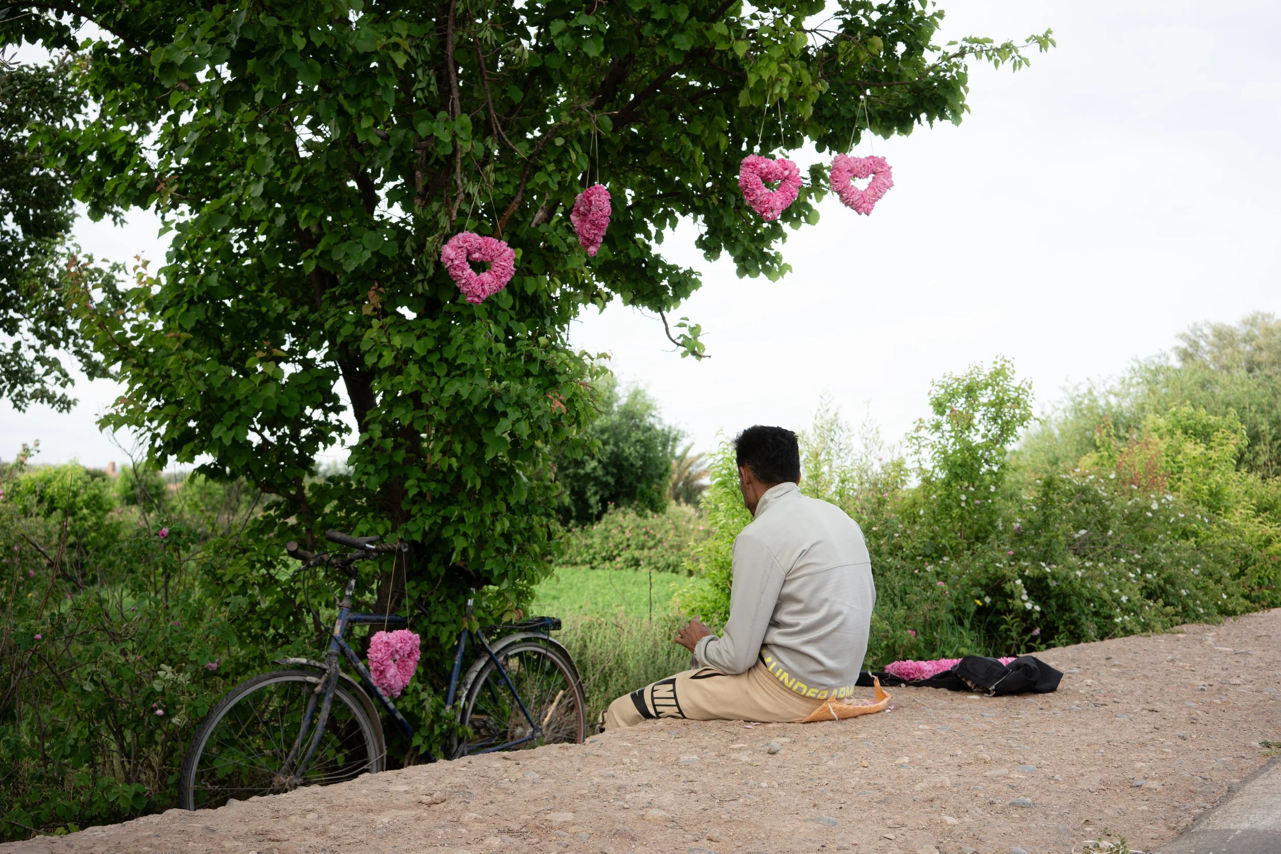 A man sells hearts woven from harvested roses beside the road near Kalaat M’Gouna. The annual harvest continues to attract visitors to the valley, where tourism has become
an important source of survival for many local vendors and traditional produce