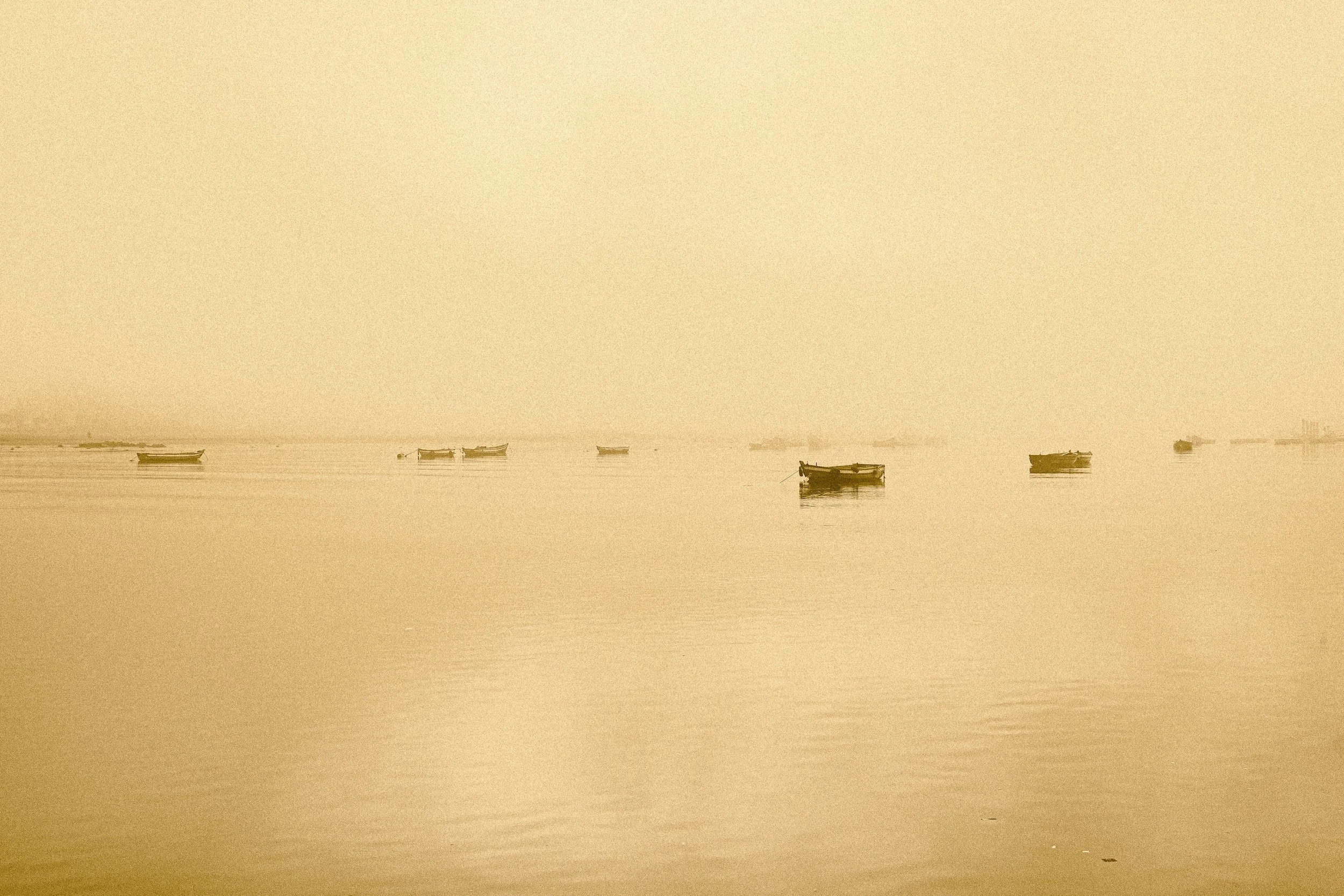 DSCF9609.jpg