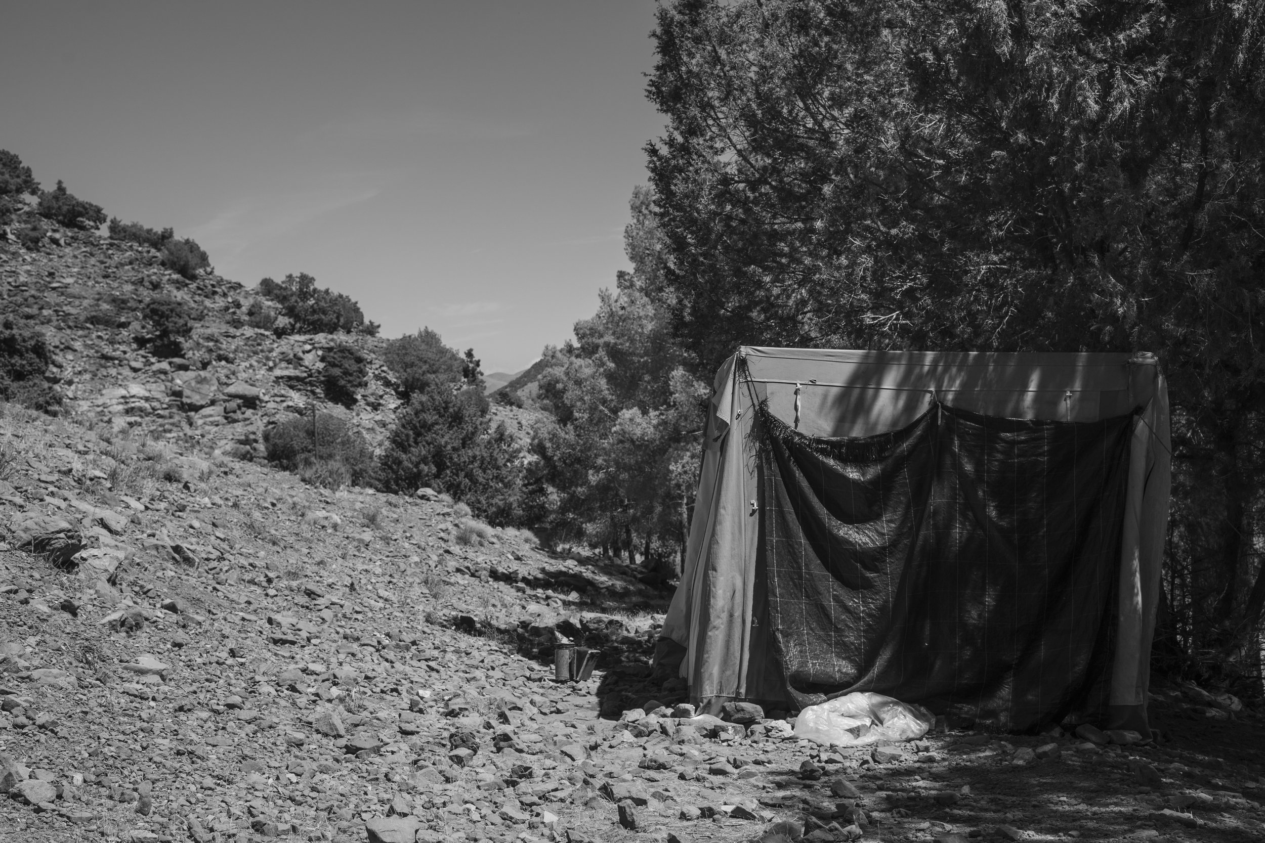 DSC08364.jpg