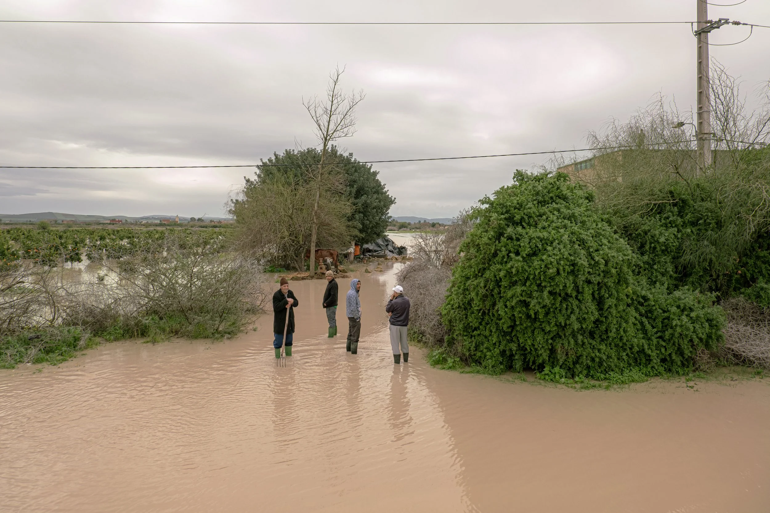 Months of hard labor rotting beneath the muddy tide, a quiet disaster in Morocco's agricultural heartland. Local farmers stand knee-deep in floodwaters on what was once a dry access road near Sidi Kacem. 
