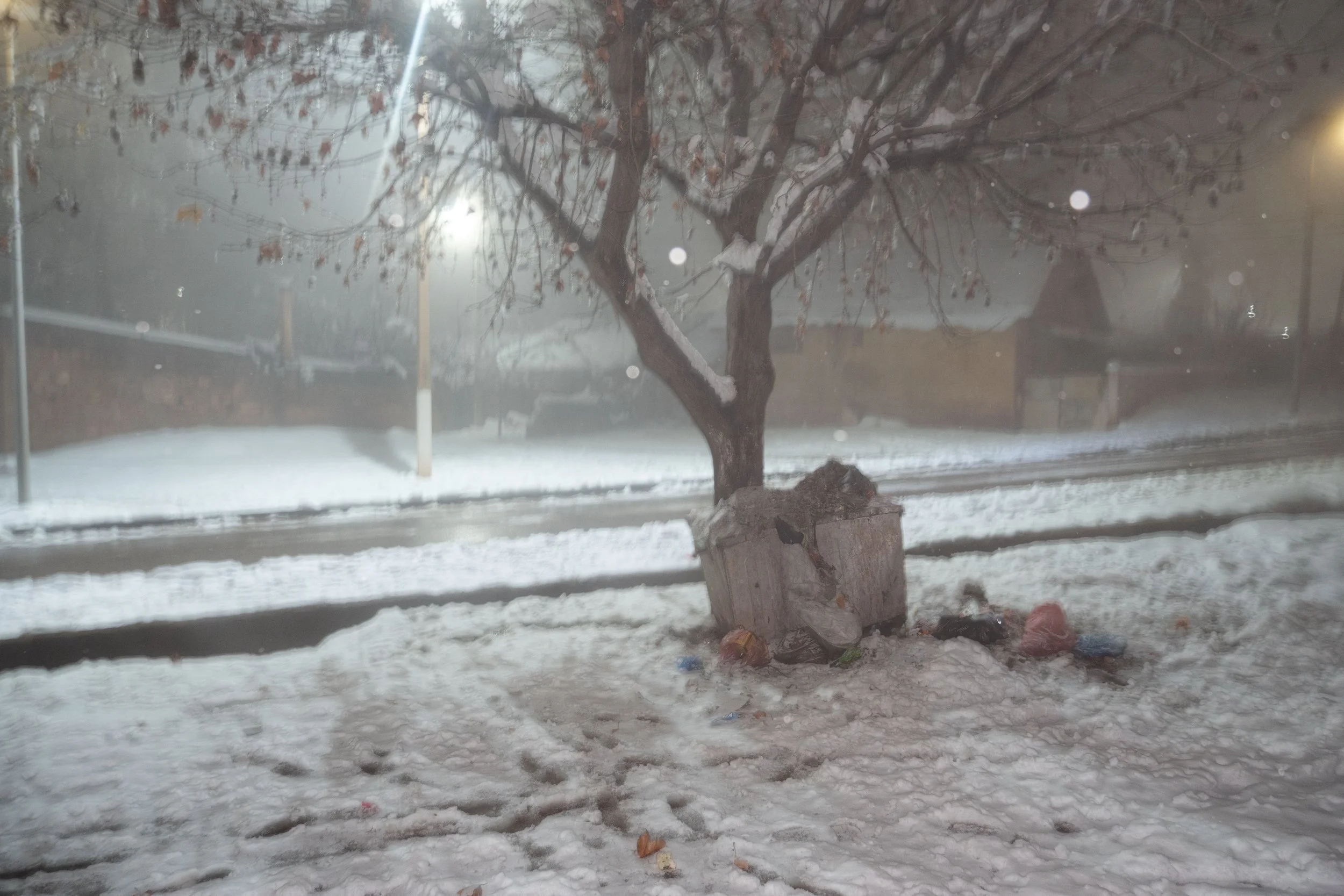 DSCF7834.jpg