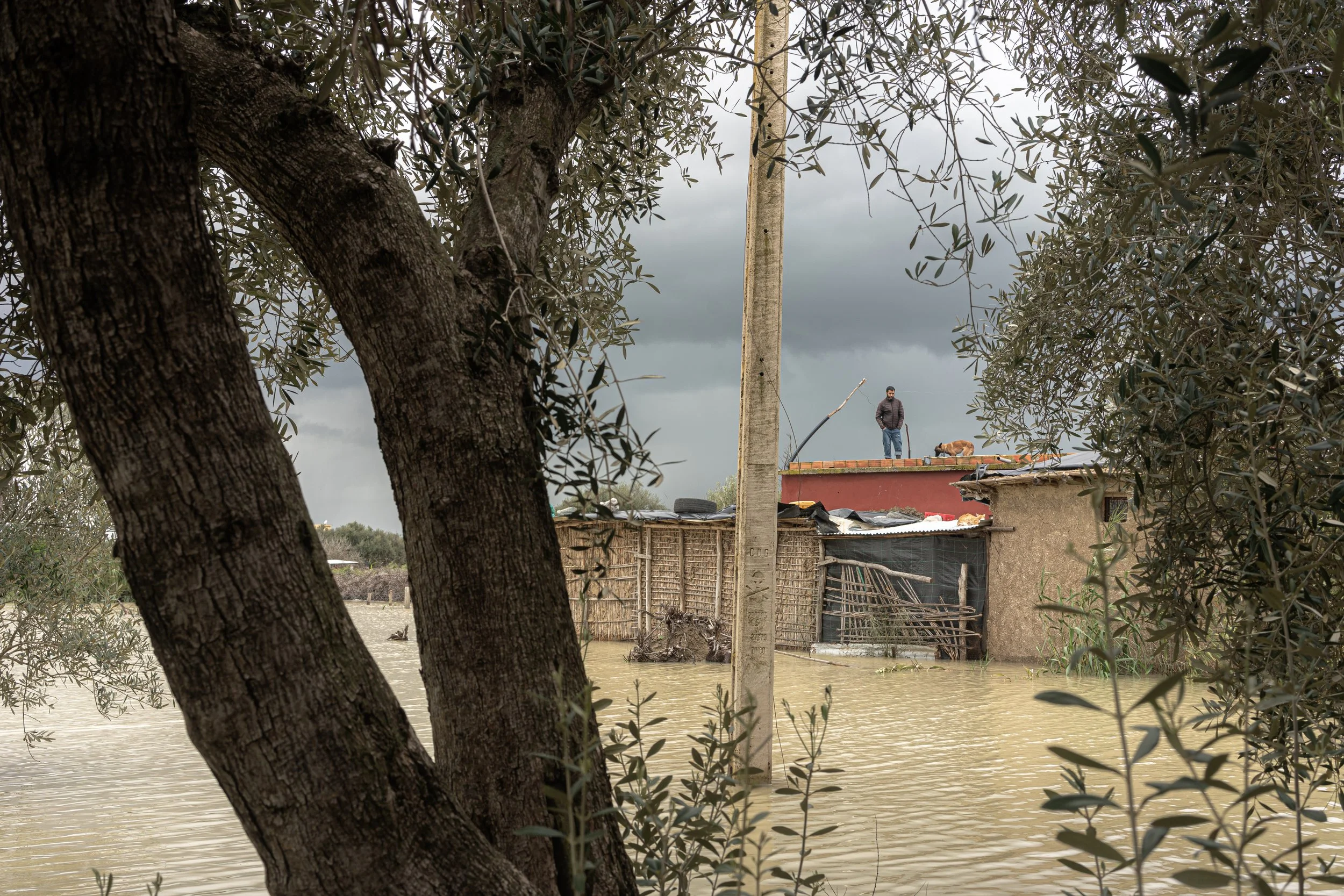 A villager and his dog take refuge on the roof of their home as floodwaters engulf the surrounding land.