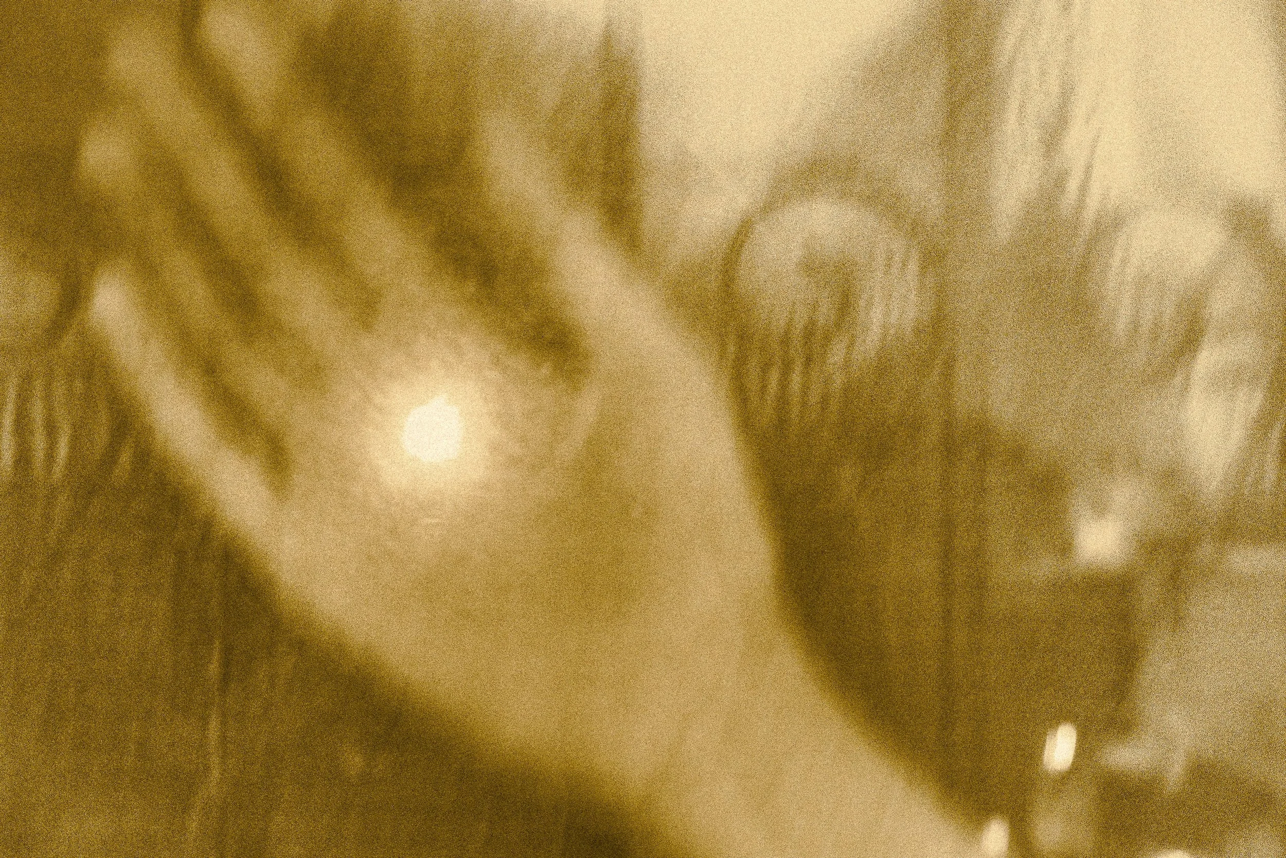 DSCF4108.jpg