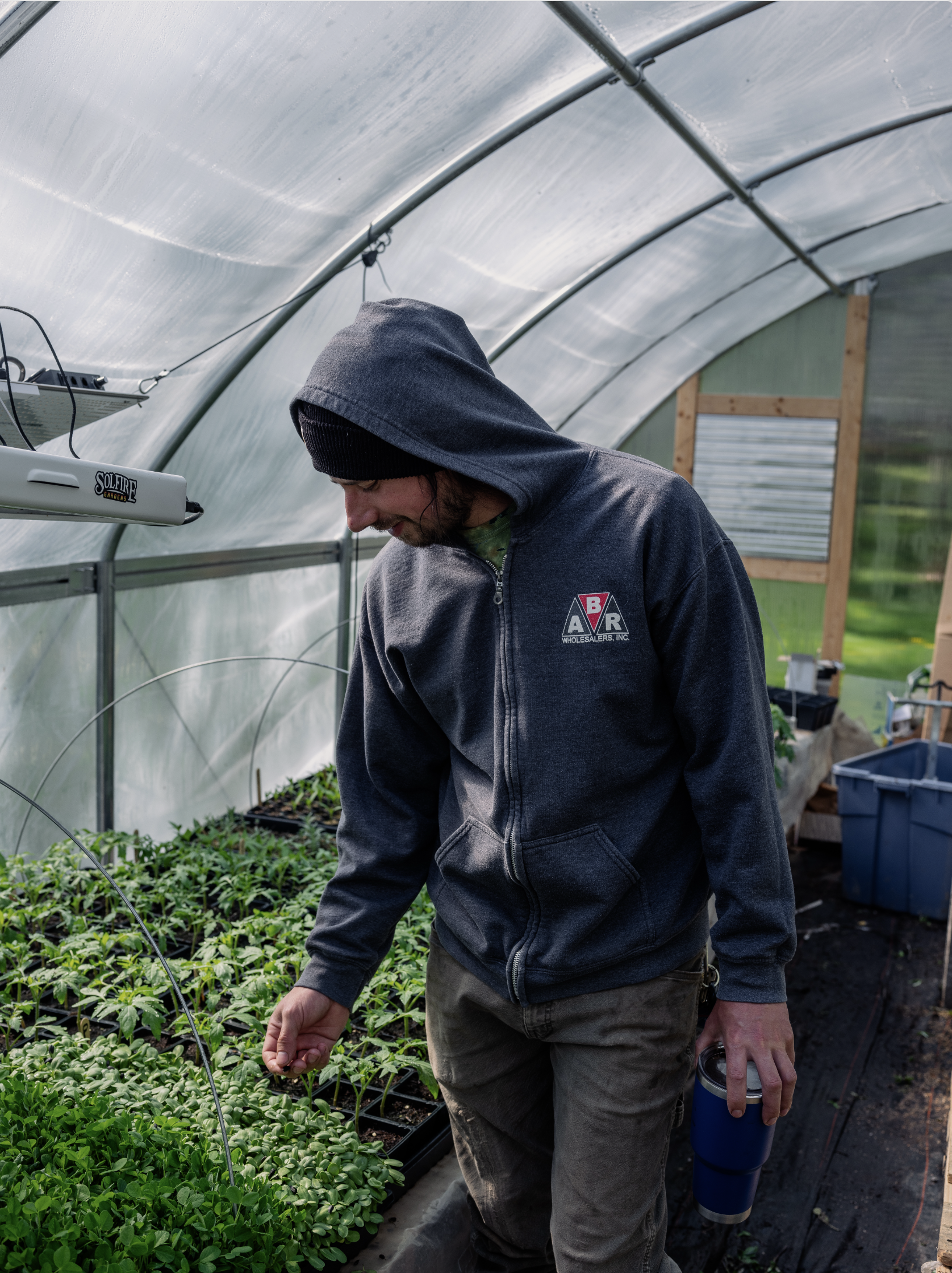A man in a hoodie and beanie tending to green seedlings inside a greenhouse while holding a travel mug.
