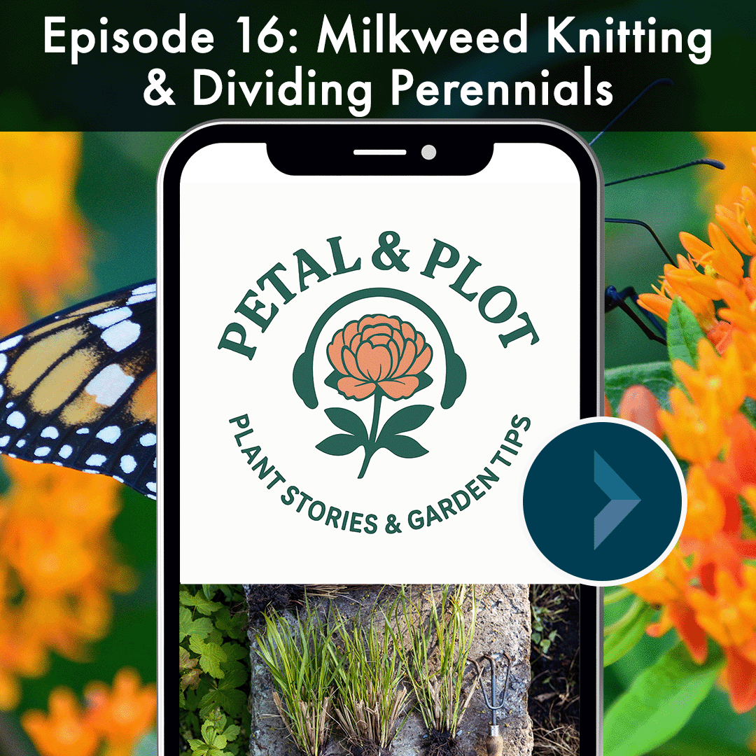 Did you know you can knit with Milkweed seed fluff? Come discover why it is considered the 'cashmere of the prairie' and how it connects crafting to conservation. Are you thinking about dividing your perennials this spring? Tune in for tips and trick