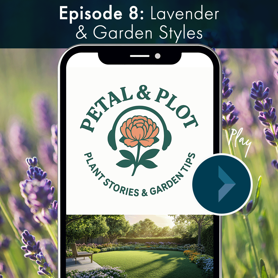 How did the fields of lavender, that once only grew around the Mediterranean, make there way to farms in Minnesota? Tune in to follow their fragrant trail. This week we are also talking about choosing a garden style- based on your site, your preferen