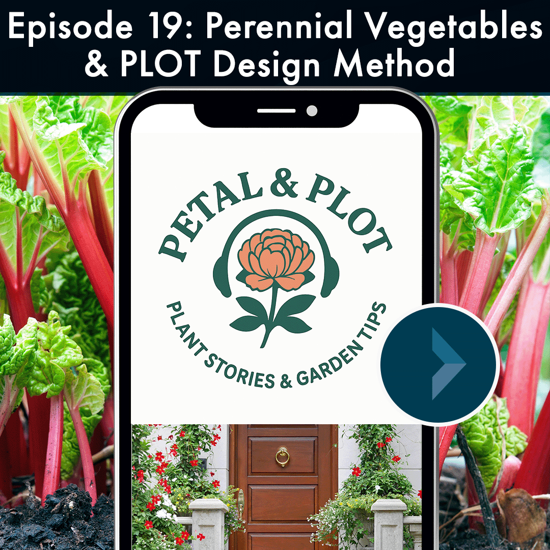 Plant it once and harvest for years, discover the low-effort, high-reward edible garden that keeps giving season after season. And stop guessing at the garden center, learn the PLOT method that turns random plants into stunning designer-worthy contai