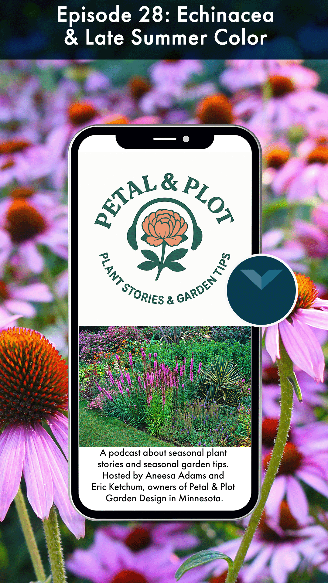 Today's story begins on the sweeping grasslands of North America. Brilliant purple blooms with spiky orange cones that almost seem to glow in the summer sunshine. Today, these flowers are sold in pharmacies, planted in gardens around the world, and b