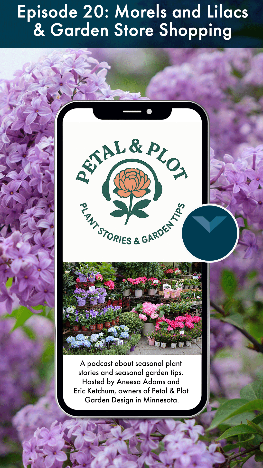 When the lilacs are blooming here, the morels are popping up. Did you know that fungi are more closely related to animals than plants? Which begs the question- can vegans eat mushrooms? Find our more, plus some helpful lilac tips are thrown in too. H