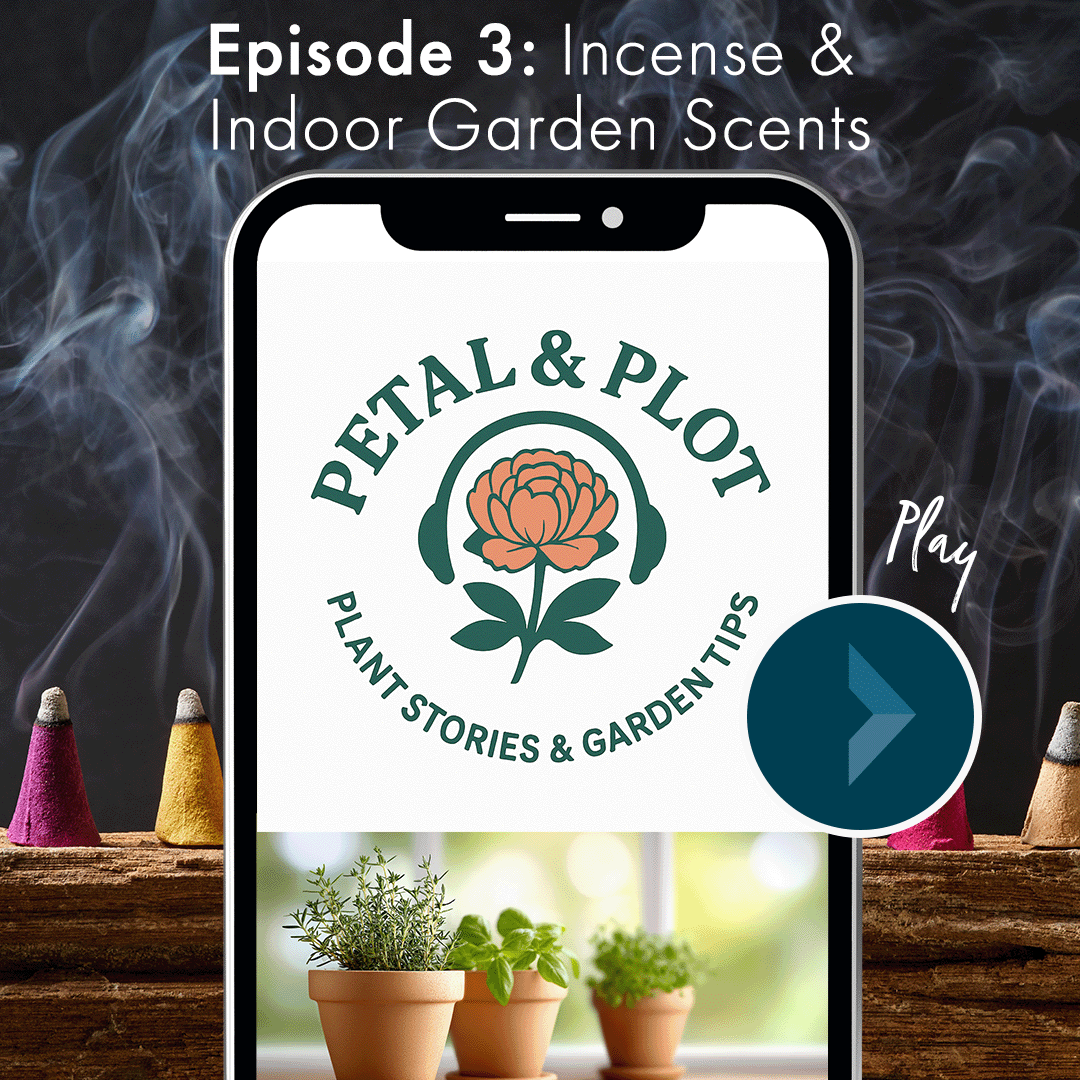 This week we are talking about incense: what it is, what it’s made from, and why humanity has burned it for as long as we’ve recorded history. As well as what gardening looks like when we bring it indoors for the winter and the plants we can bring in