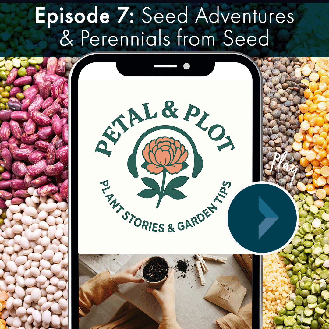 Have you ever wondered what the biggest seed on earth is? How about the smallest? This week we tell you the adventurous true tales of coconuts and orchids. And we're going on a deep dive into best practices for how to plant perennials from seed and w