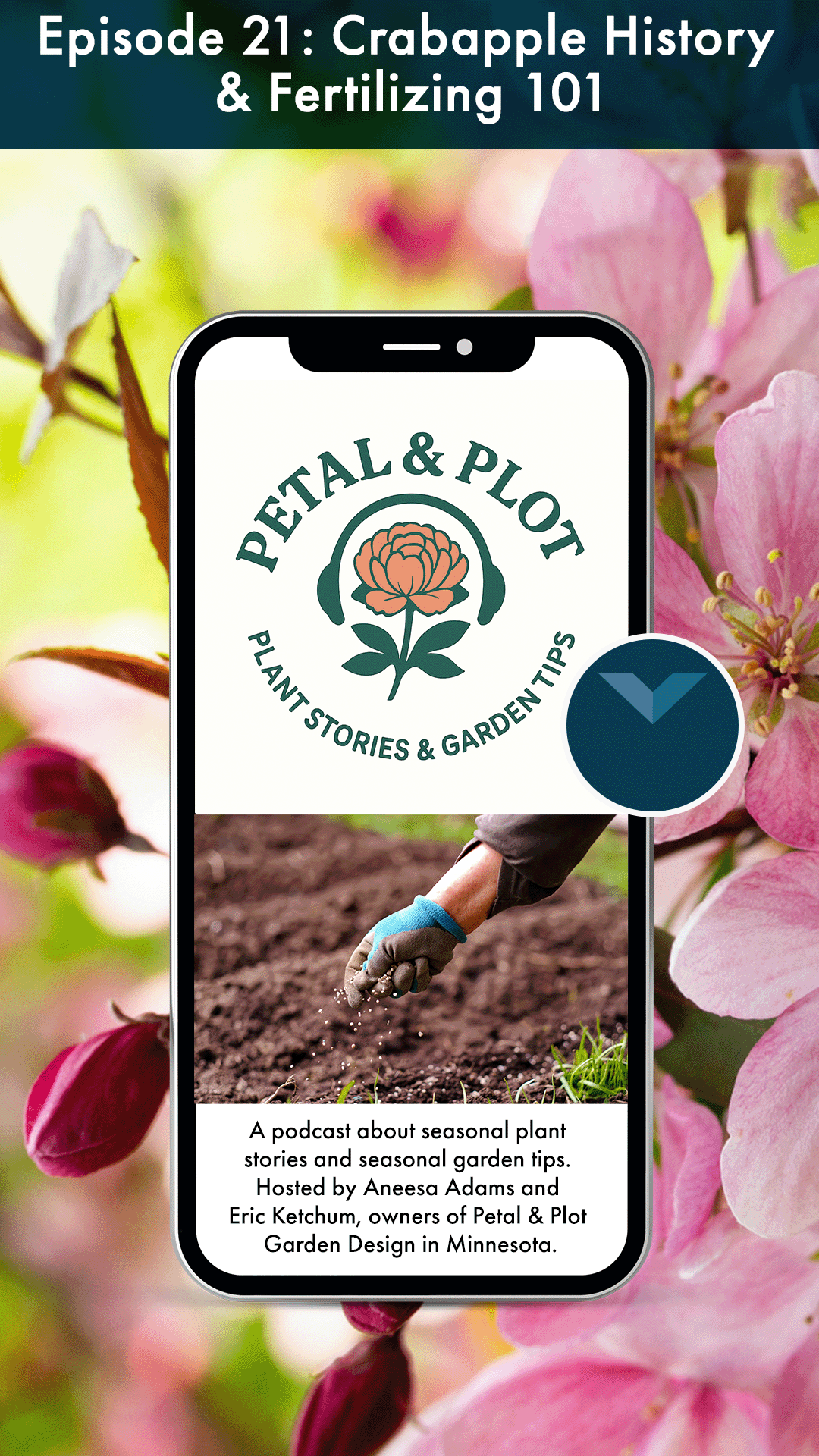 Follow along with us as we journey through the history of the crabapple from prehistoric times to the modern sweet apple. Crabapples have been prized by gardeners for their stunning colorful petals as well as the way they can perfume a garden. Ever f
