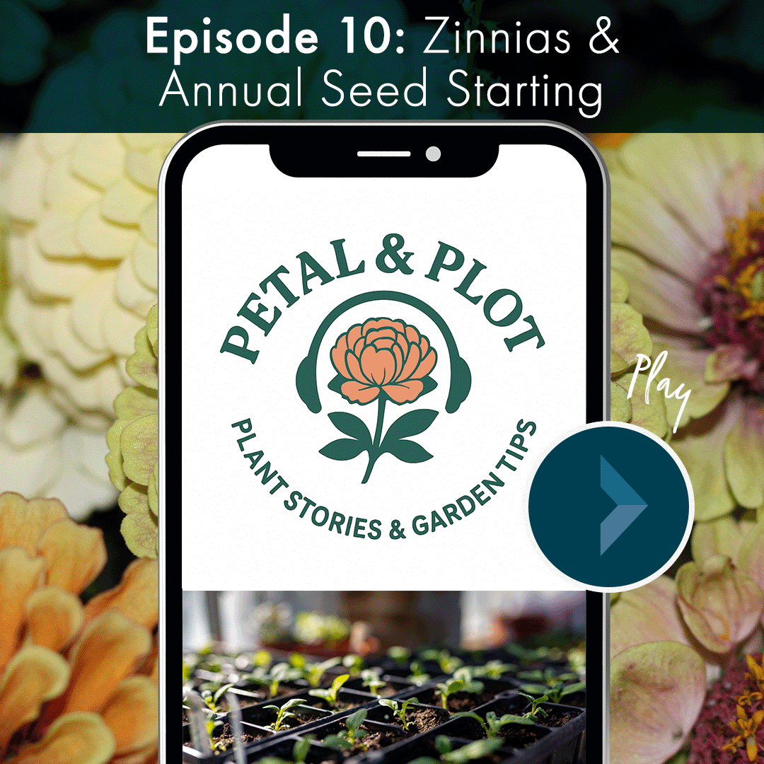 From wild Mexican grasslands to blooming aboard the International Space Station, the week we are talking about Zinnias, including their shared history with the elusive color blue. Have you started getting your seeds ready for this season? This episod