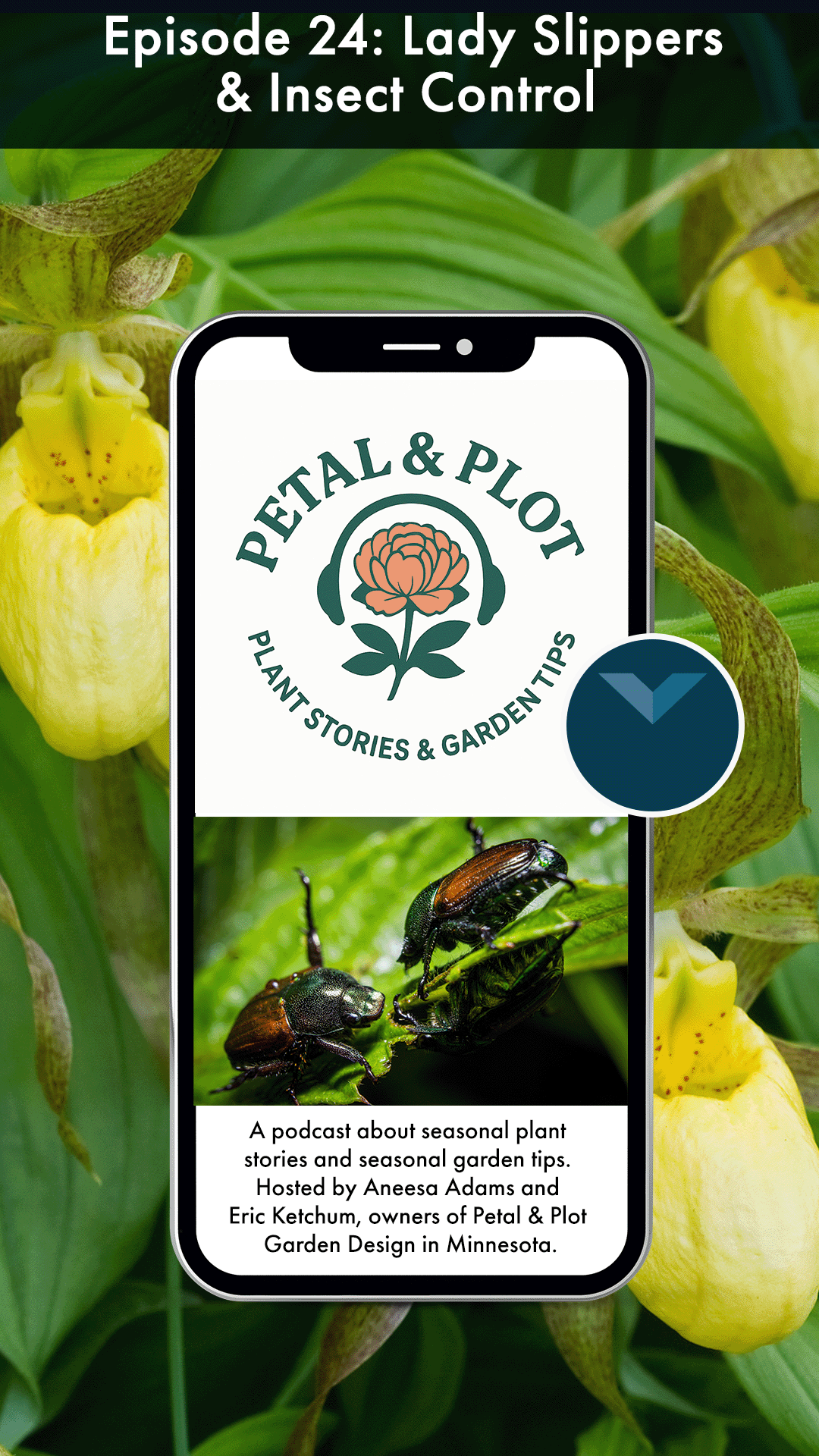 Step back with us into the cool shade of Minnesota's forests and wetlands in search of one of the state's most beloved wildflowers, Lady Slippers, a flower so enchanting that it inspired legends, became Minnesota's state flower, and remains protected