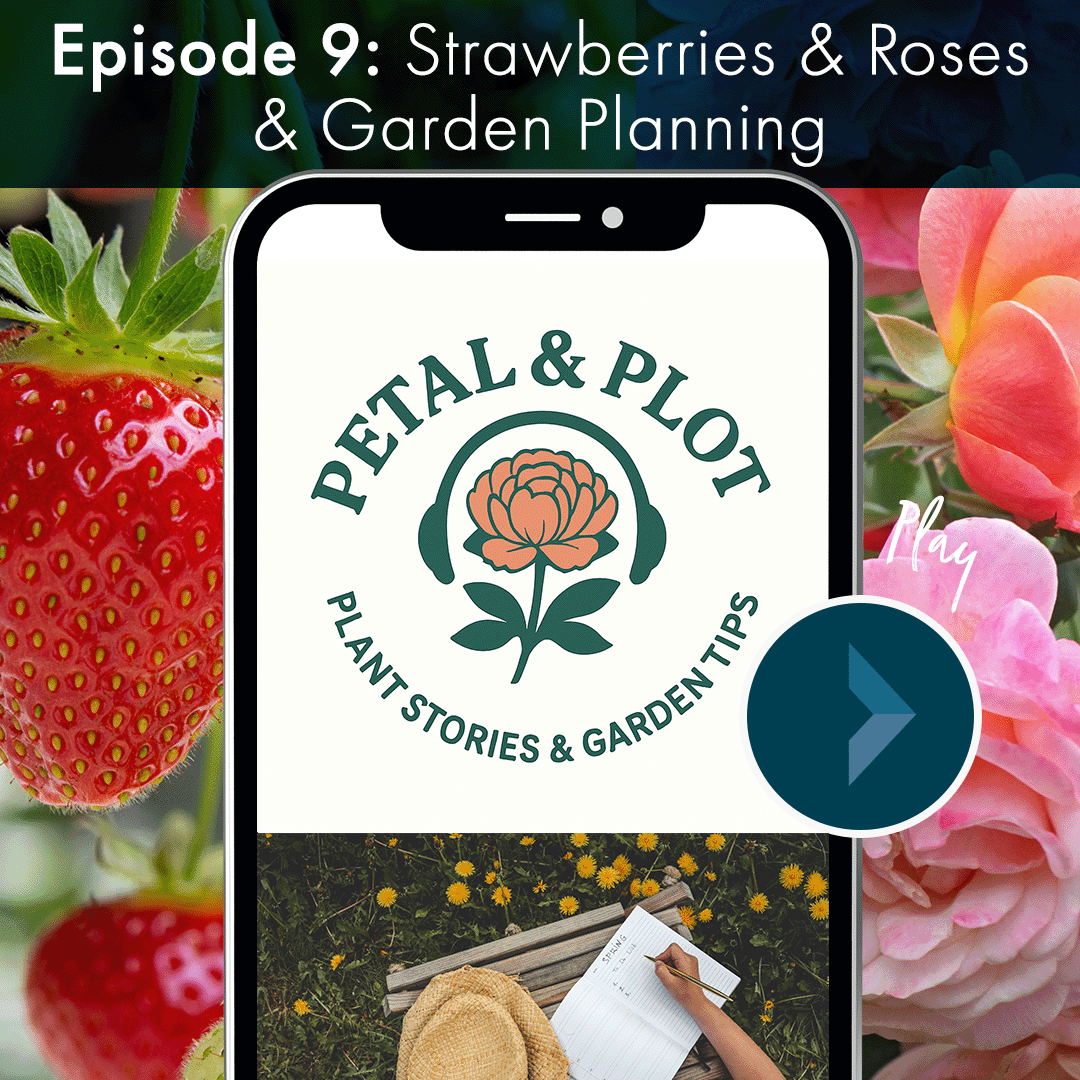 This week we uncover the the shared anatomy of Strawberries and Roses, the wild truth about what a strawberry really is, and the deep history that links these two iconic plants to Valentine's Day. Thinking of planning a new garden or redoing your gar