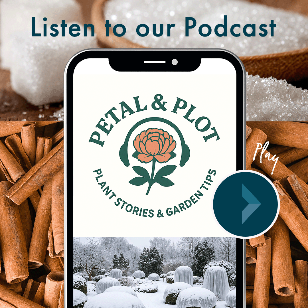 This week we bring you the origin stories of cinnamon & sugar and go over winter garden prep tips to keep your plants, trees, and shrubs well cared for over the winter.