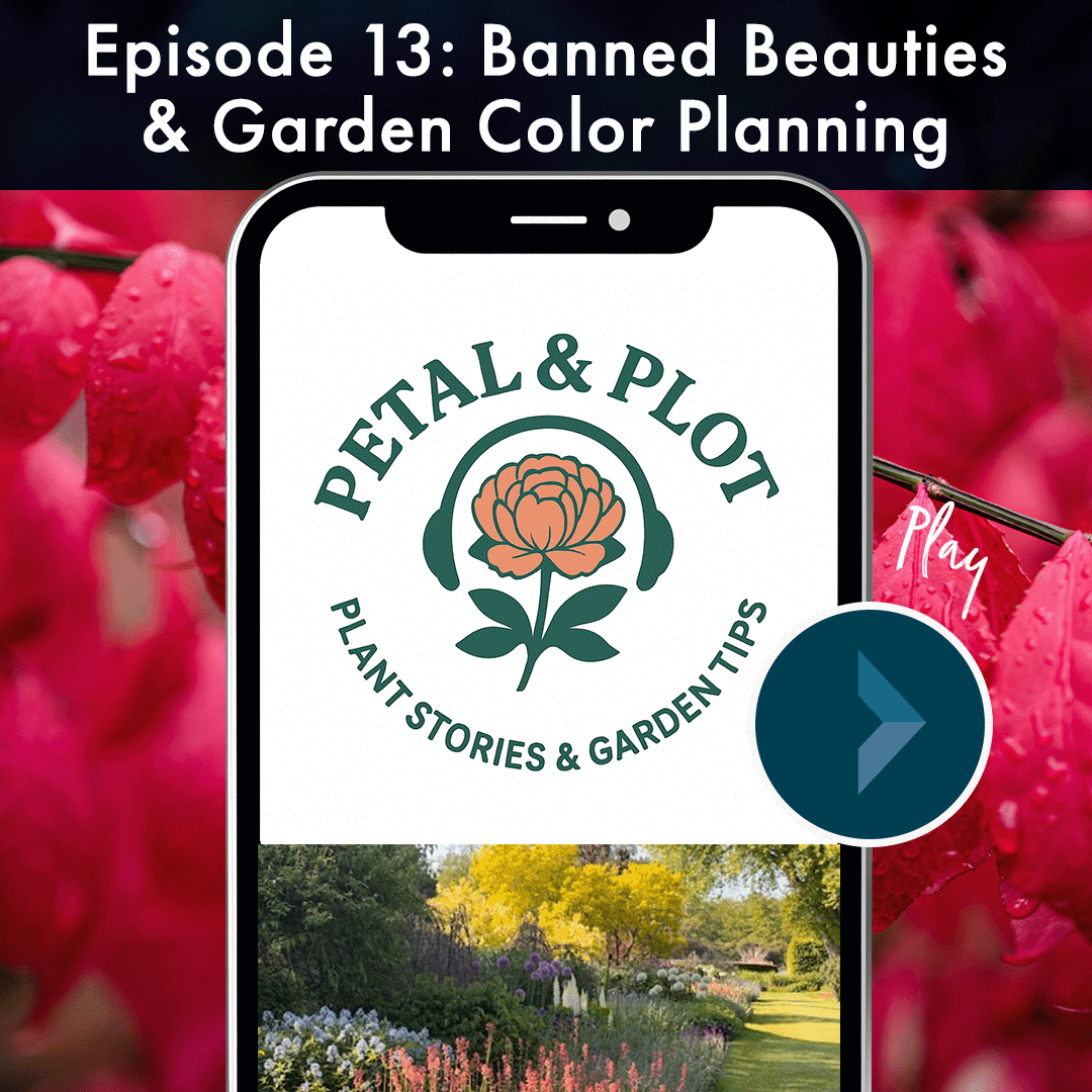 Why have some incredibly beautiful plants, like burning bush, been banned in Minnesota? We explore why and discuss native alternatives to plant instead. This week we are also doing a deep dive into how to plan your garden around color palettes and te