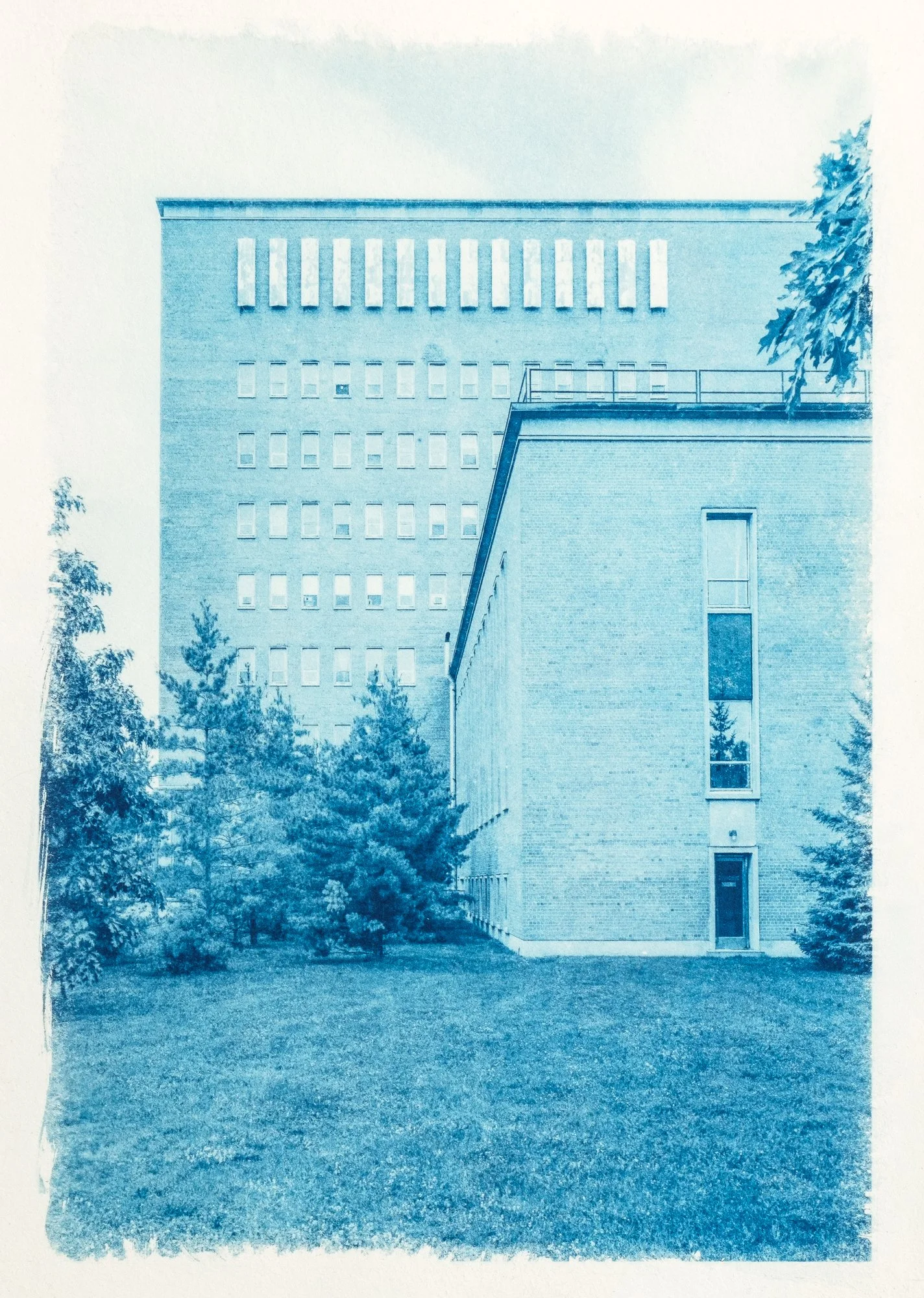 Form Following Function
Cyanotype print on archival paper (2025)