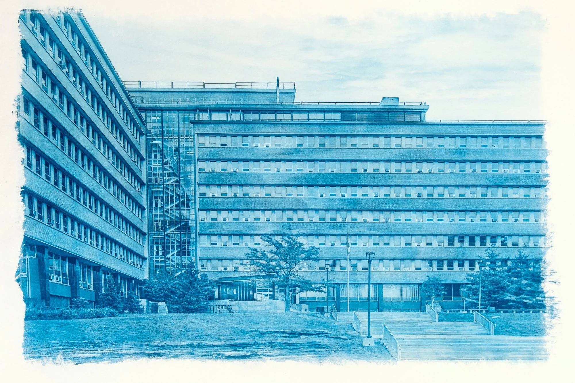 Exposed Accent 
Cyanotype print on archival paper, 22.5"x29" (2025) 