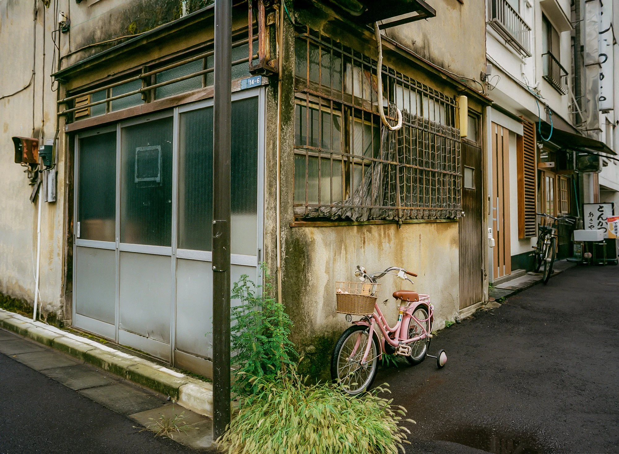 An alleyway with an old building, a pink bicycle with a basket parked against it, and some plants near the building. The building has rusted metal grates and weathered walls.