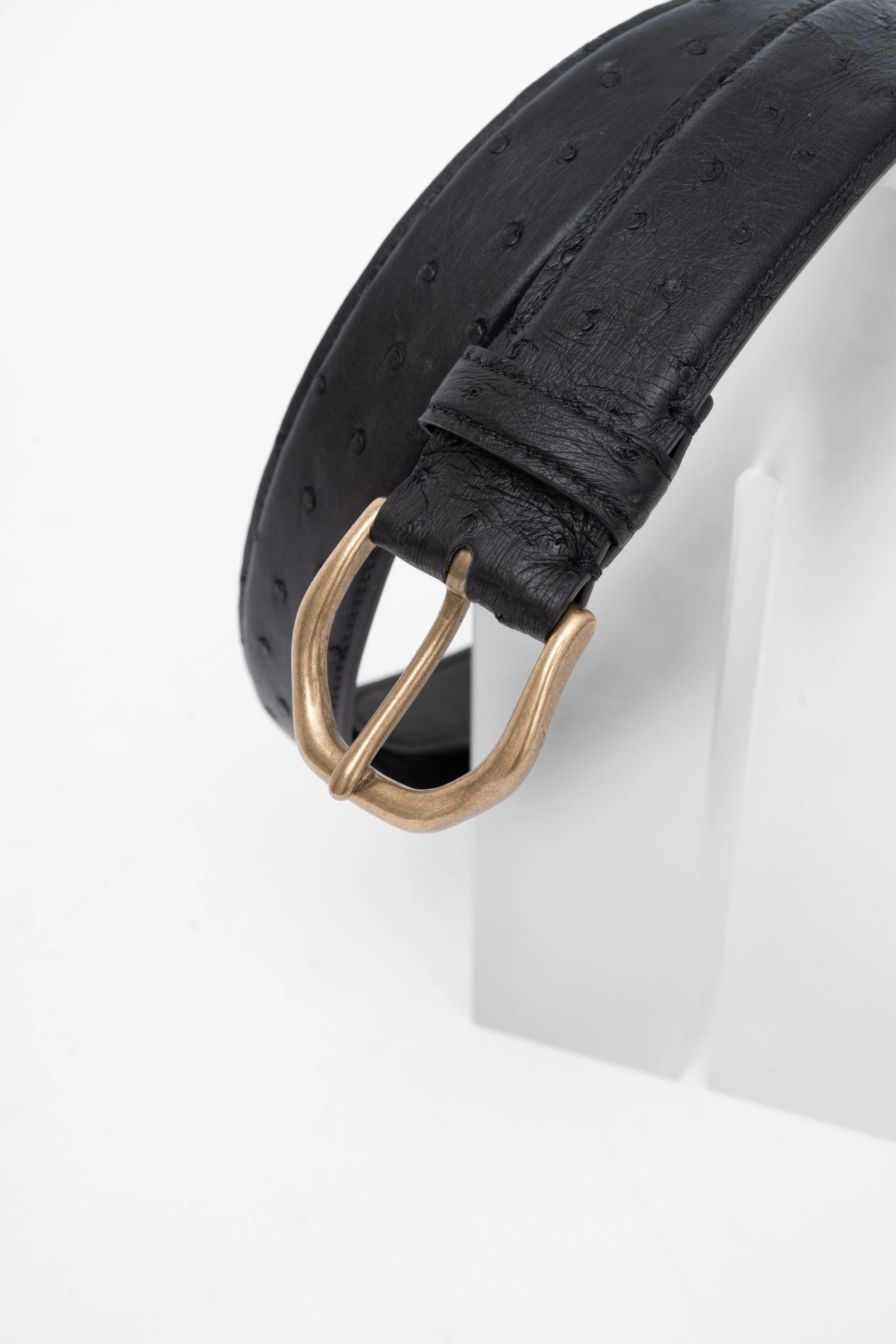Dress Belt｜Ostrich (Black) #258