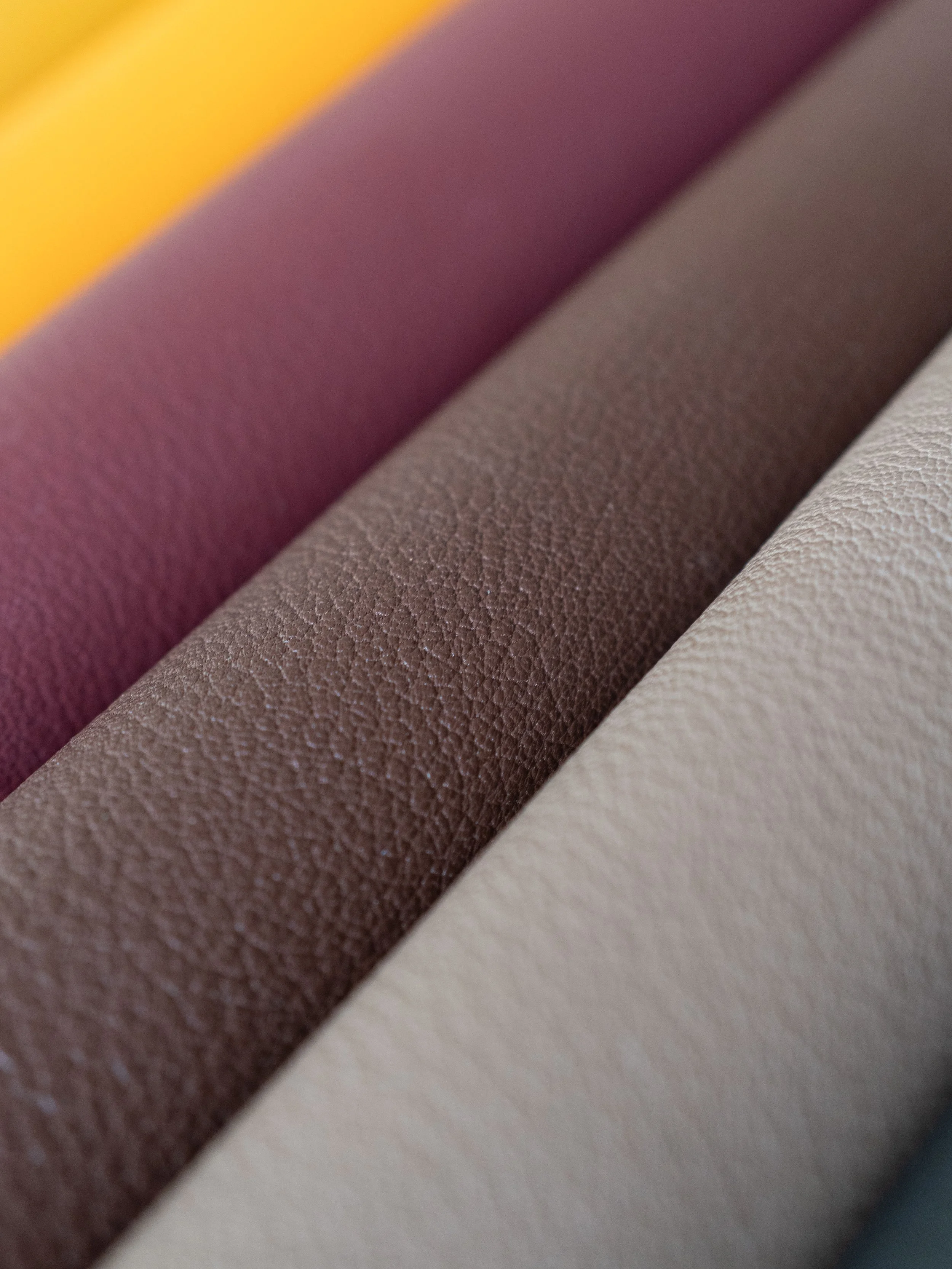 Chèvre Sully (Alran)