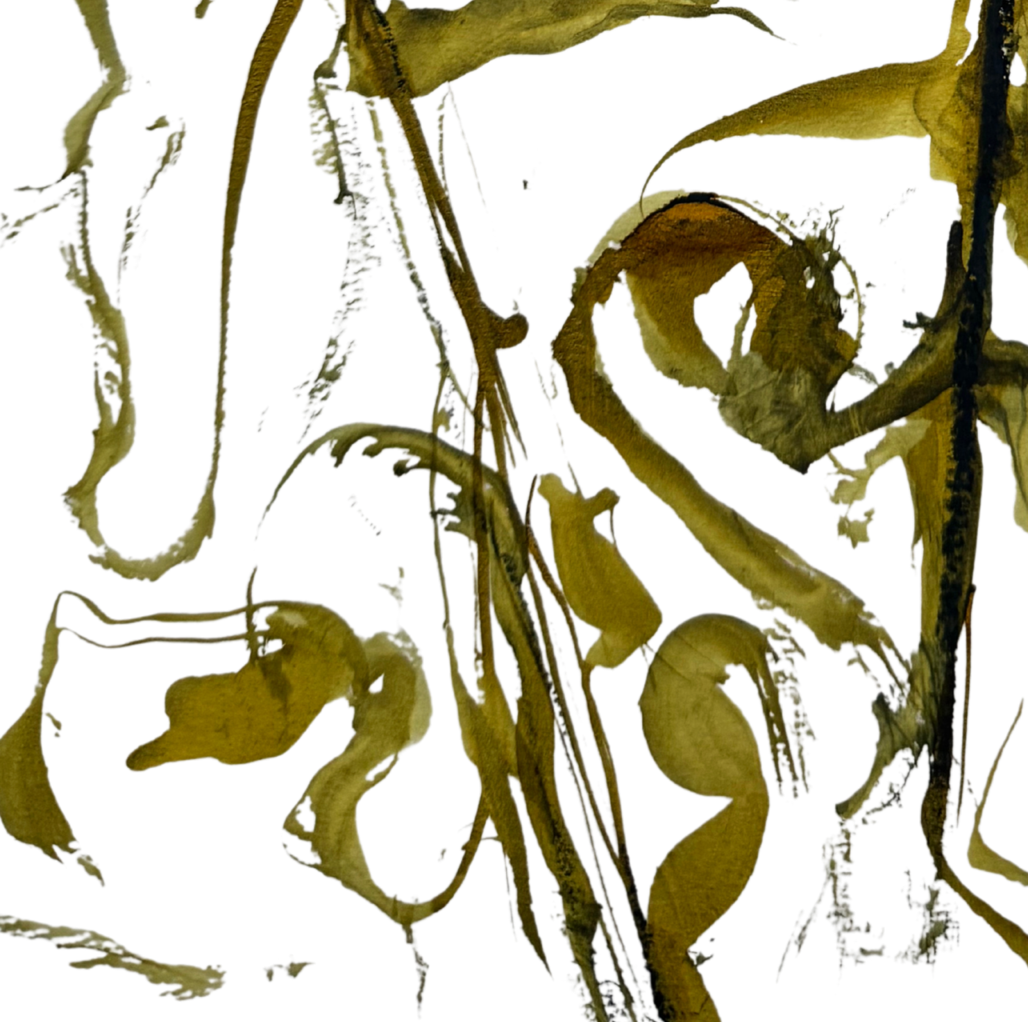 Dried, curled plant leaves with a brownish-yellow color.