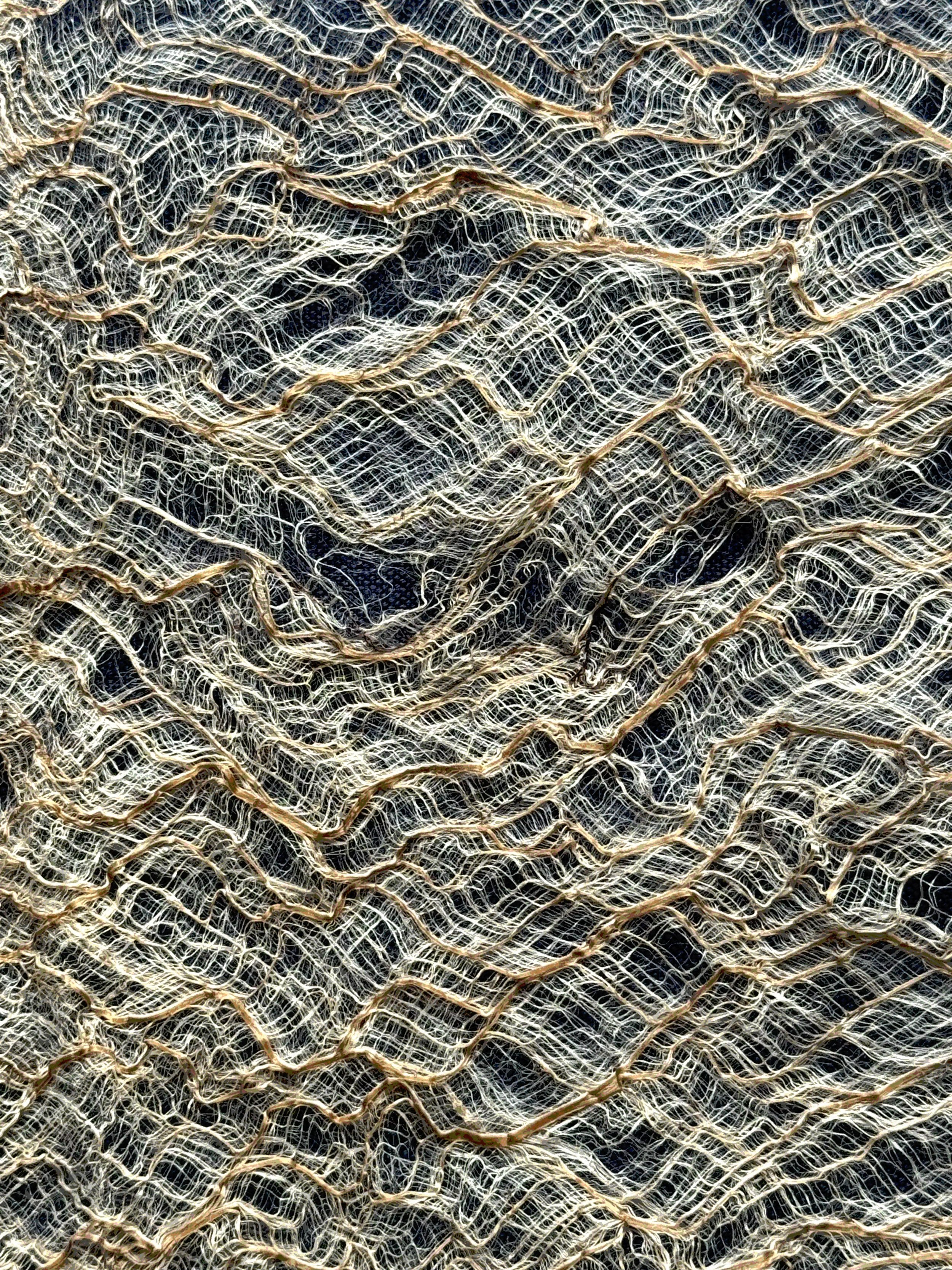 Close-up of a dried, textured leaf skeleton with intricate network of veins.