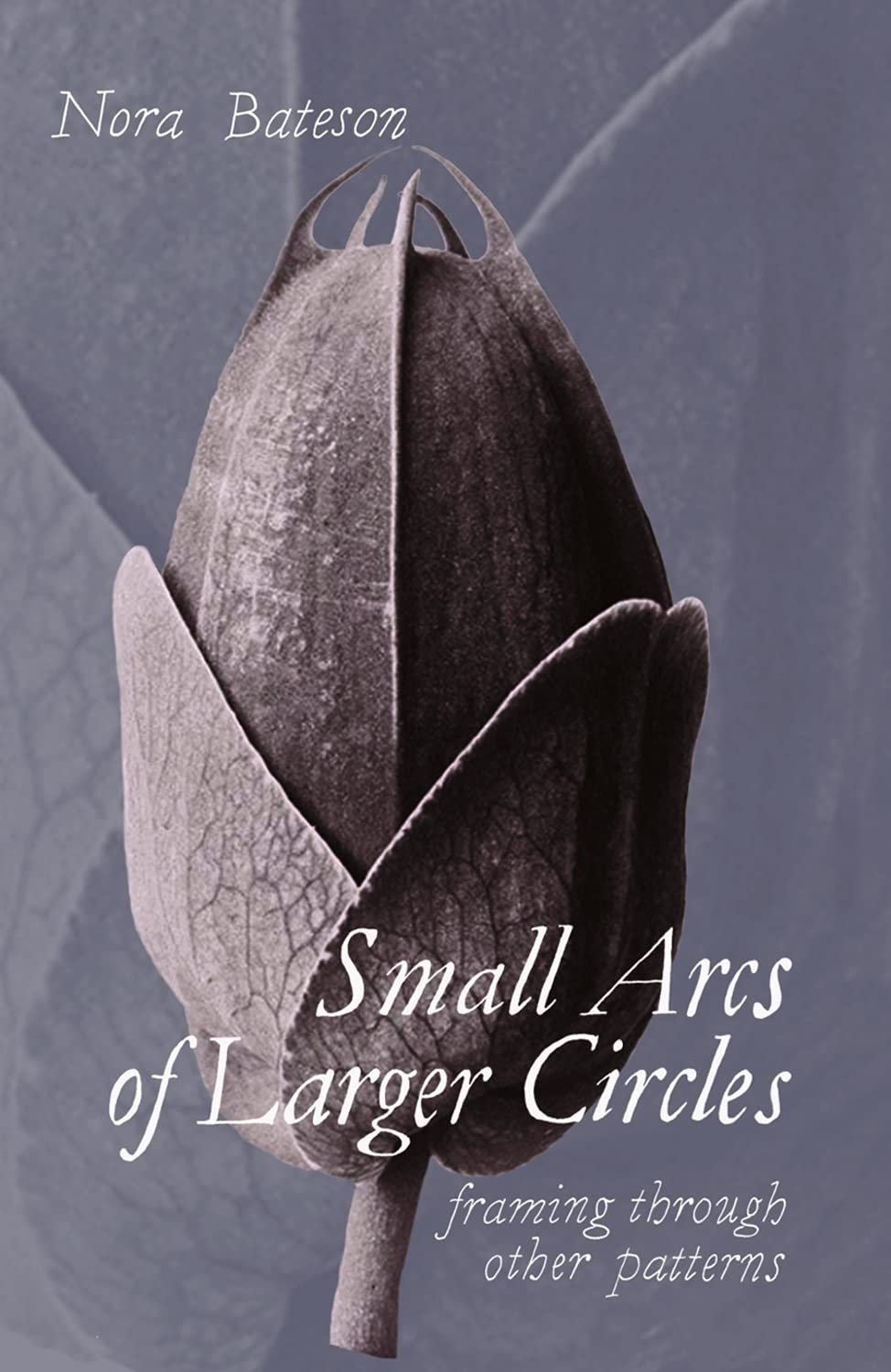 A close-up of a dark-colored seed pod surrounded by two dry leaves, with a gray background, and the text 'Nora Bateson' at the top and 'Small Arcs of Larger Circles, framing through other patterns' at the bottom.
