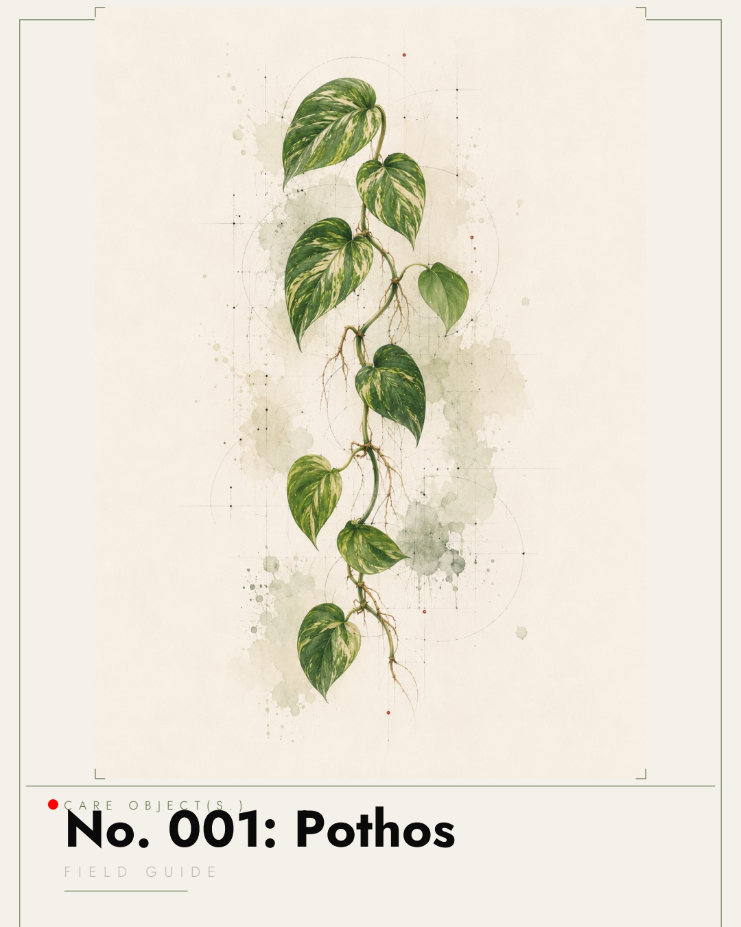 CARE OBJECT(s.)