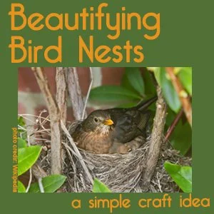 Beautifying  Bird Nests - A Simple Craft Idea