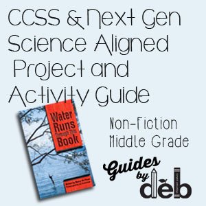 WATER RUNS THROUGH THIS BOOK by Nancy Bo Flood