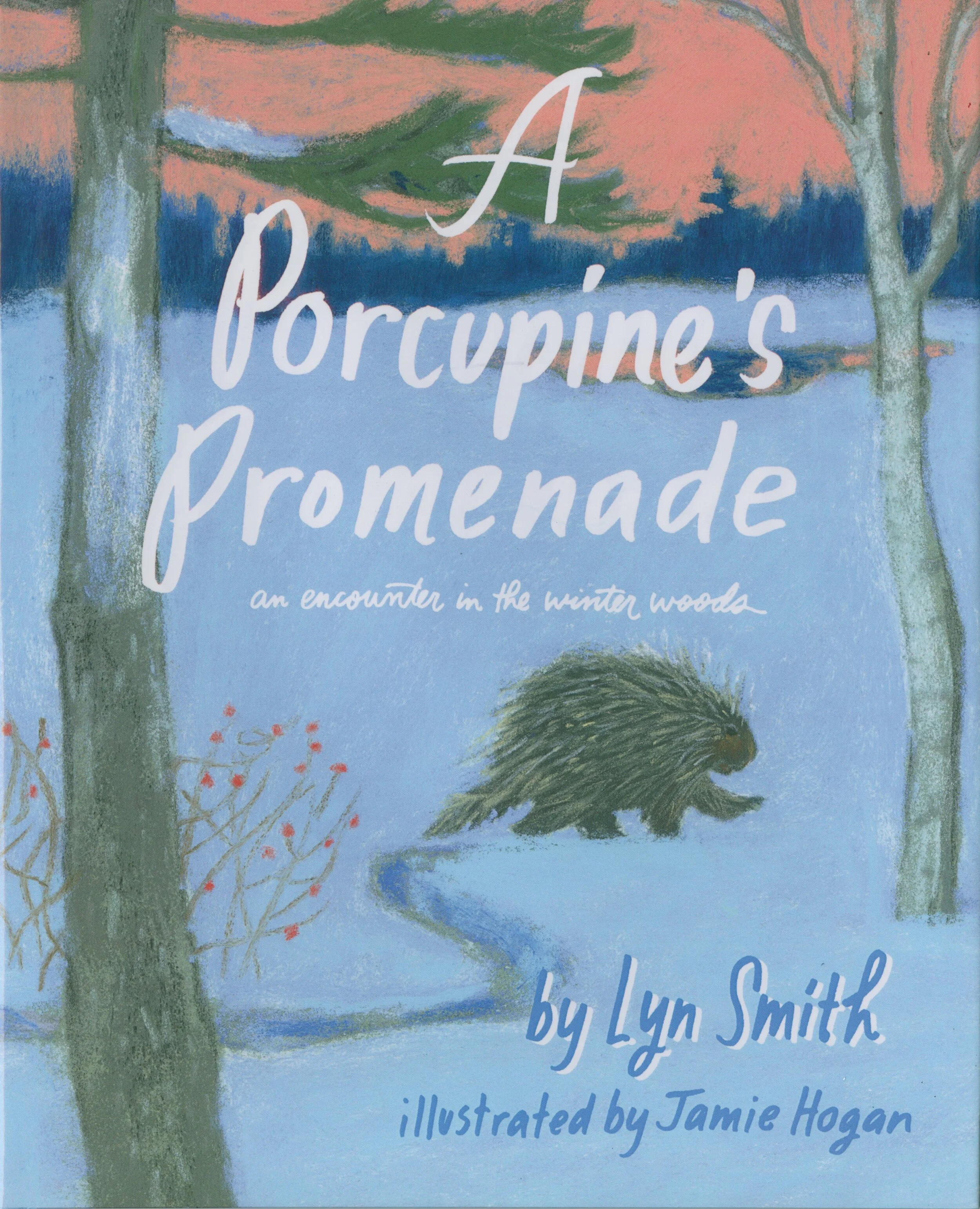 A Porcupine's Promenade