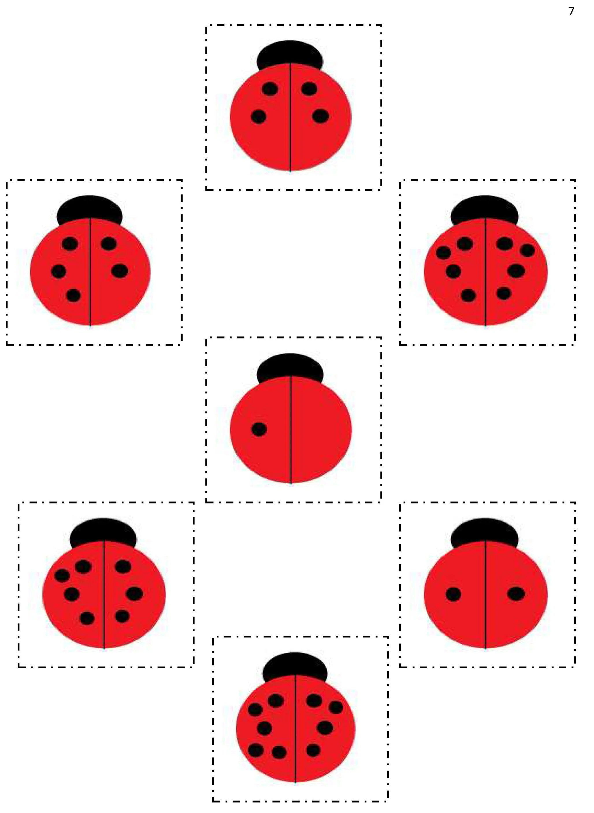 Ladybug Spot Counting.jpg