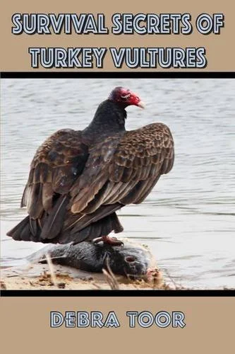 Survival Secrets of Turkey Vultures 