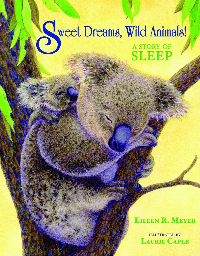 Sweet Dreams, Wild Animals!: A Story of Sleep 