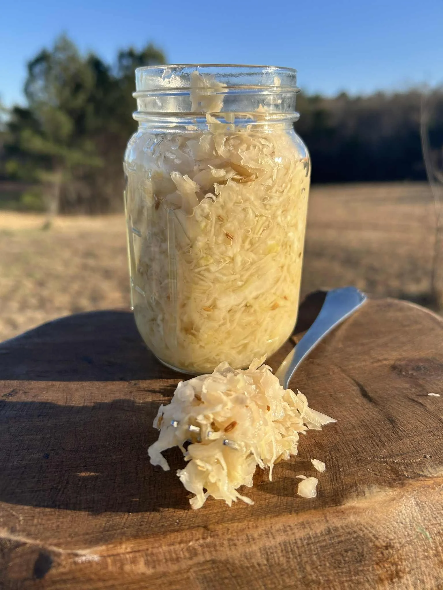 Homemade Sauerkraut