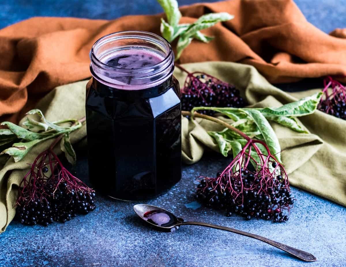 Organic Elderberry Syrup (1 Pint)