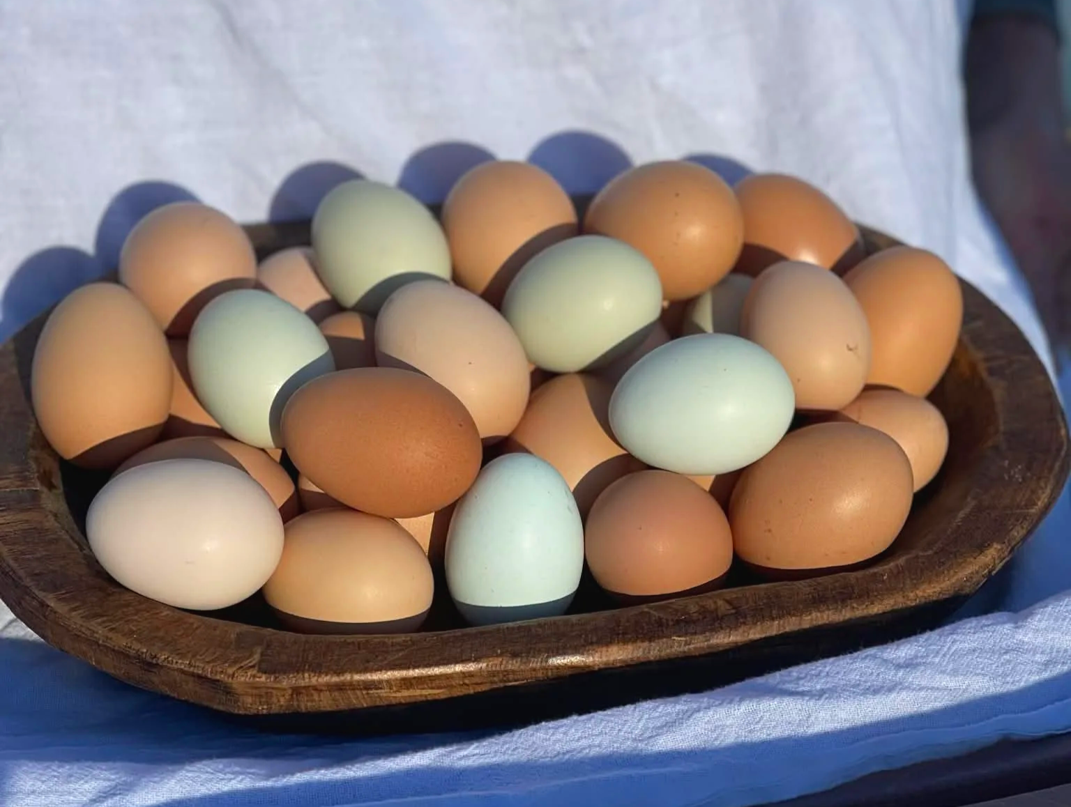 eggs.png